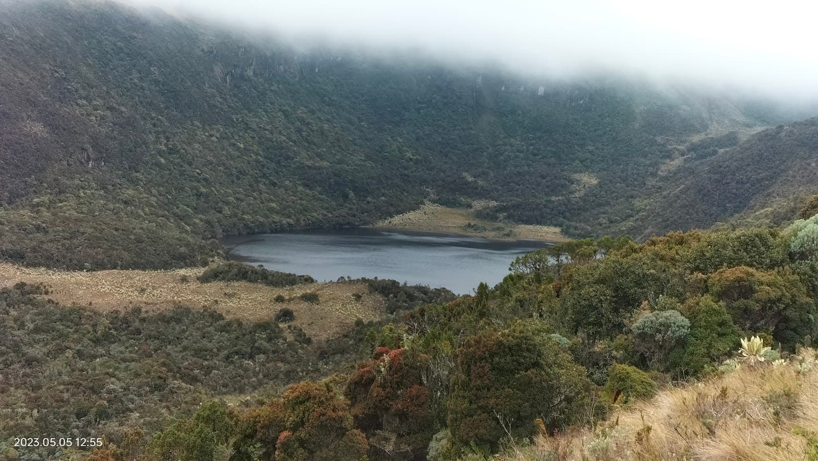 Santuario de Fauna y Flora Galeras - Image 1