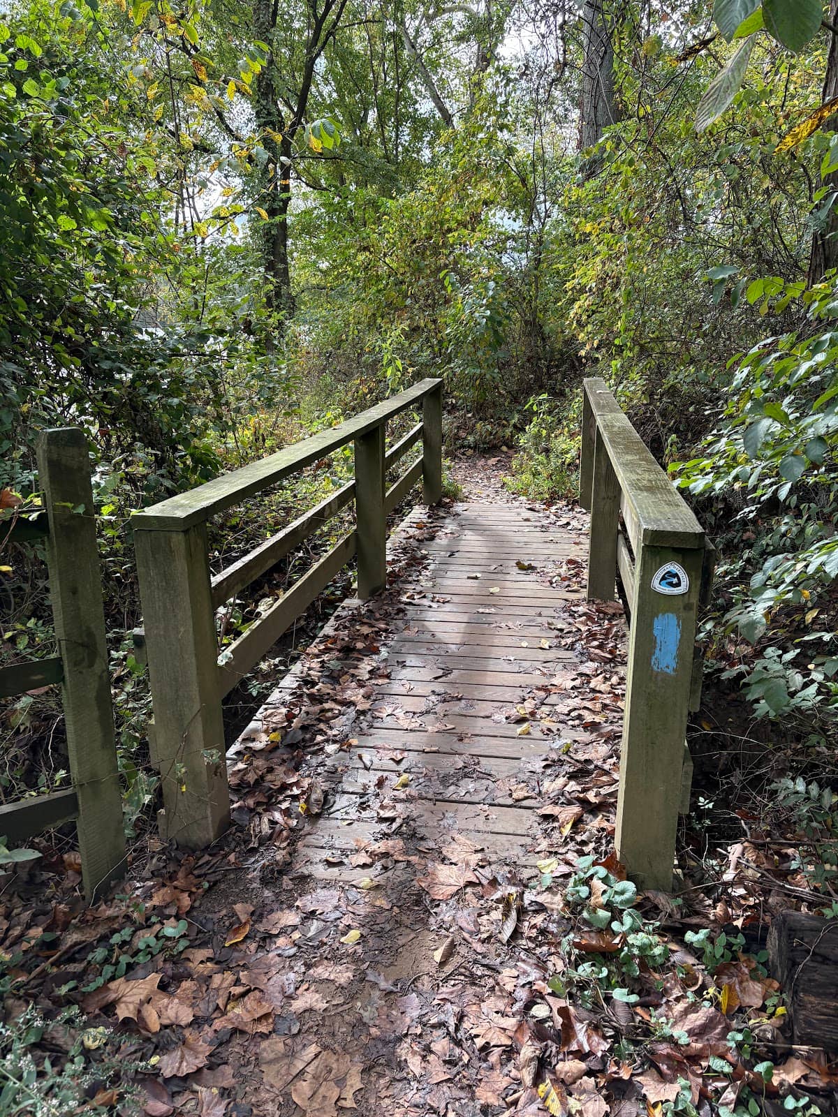 Visitor Center & Programs