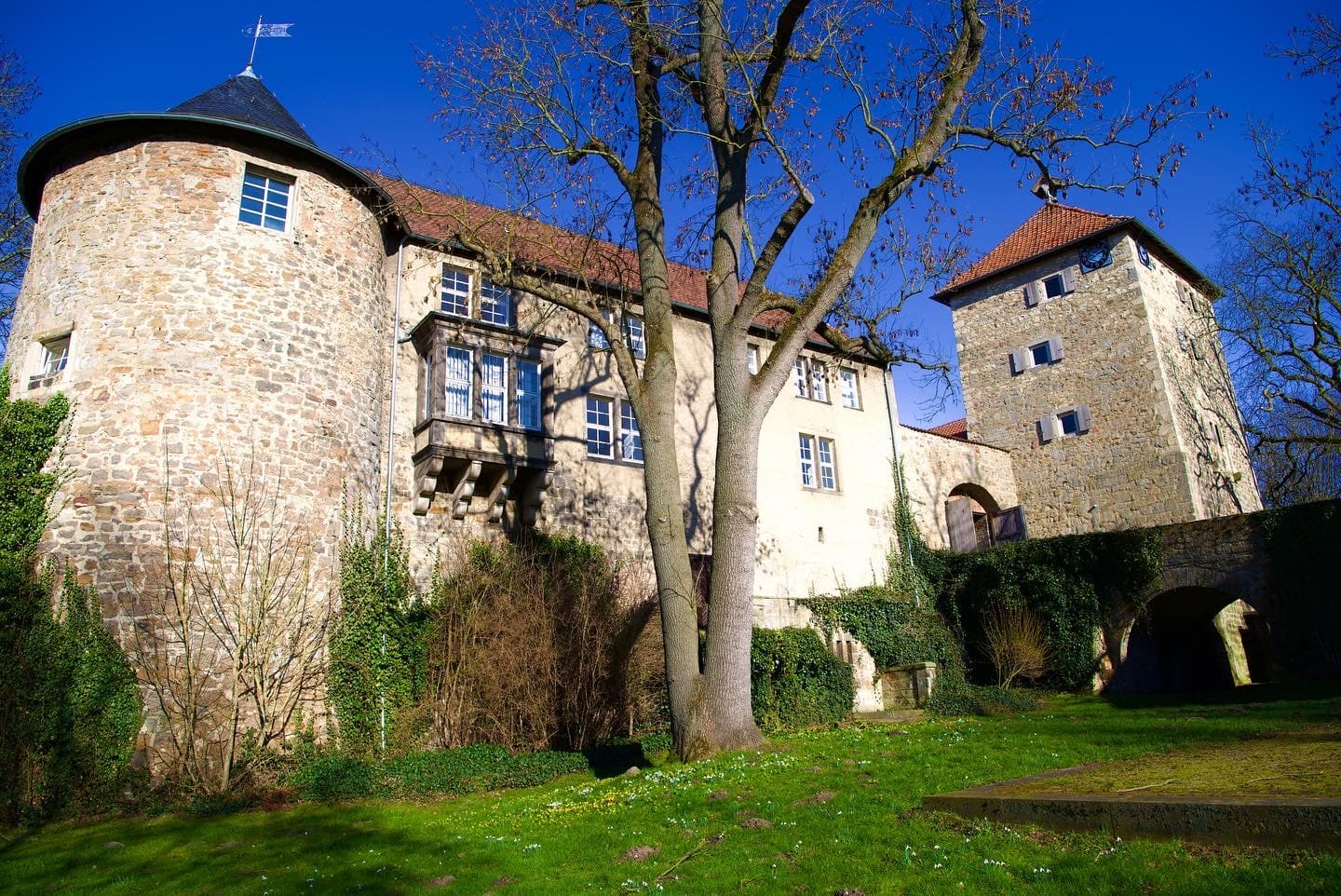 Burg Neuhaus - Image 1