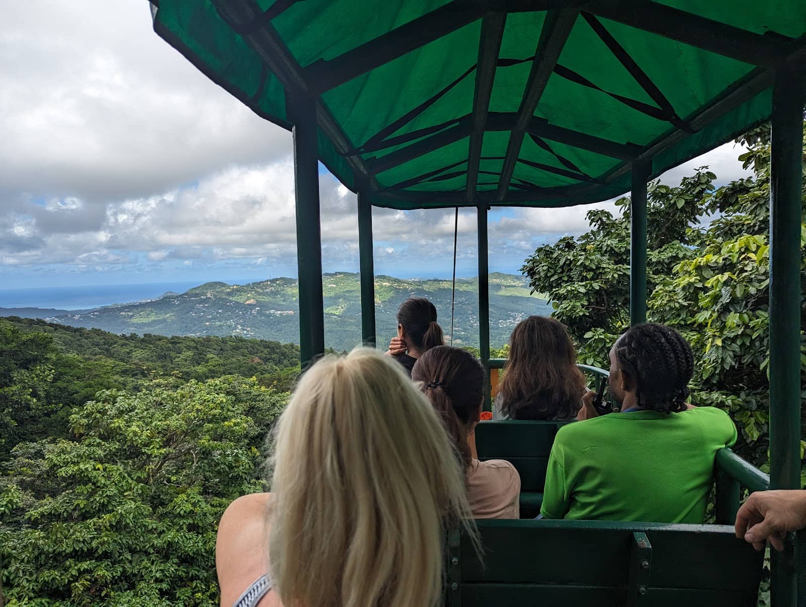 Guided Rainforest Hike