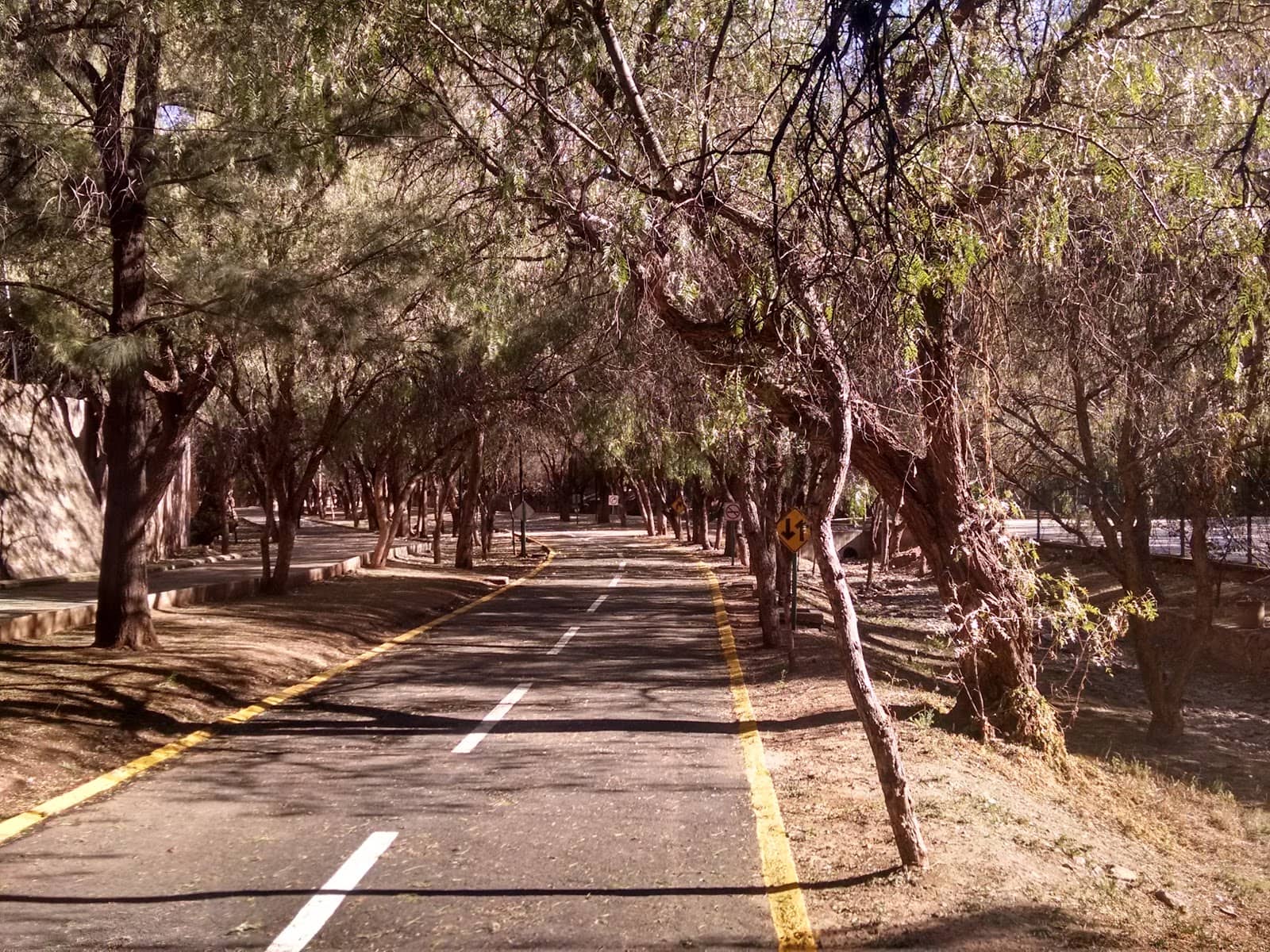 Mercado Arroyo de la Plata