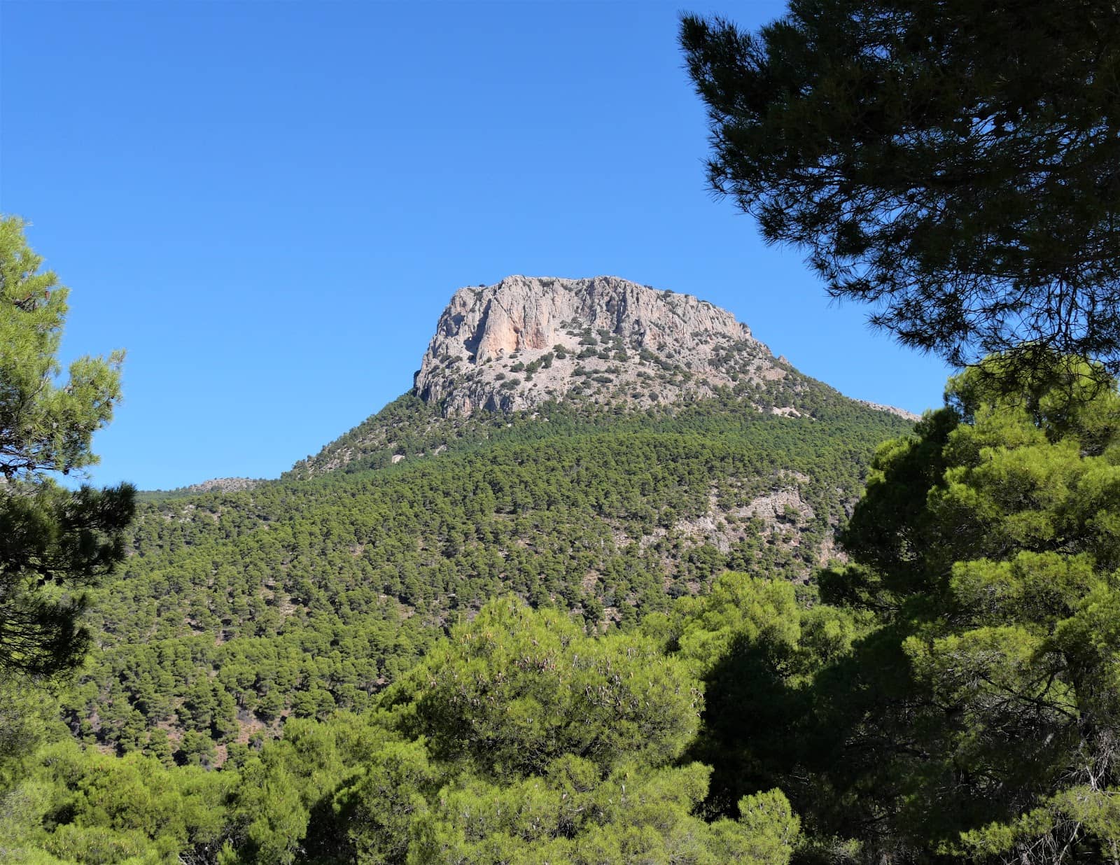 Scenic Drives and Viewpoints