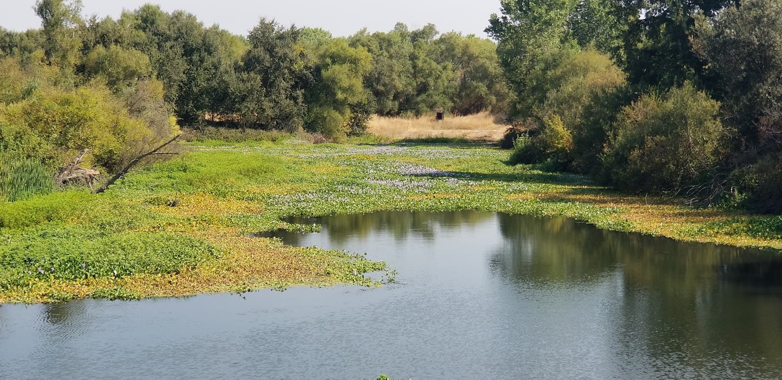 Stone Lakes National Wildlife Refuge - Image 1