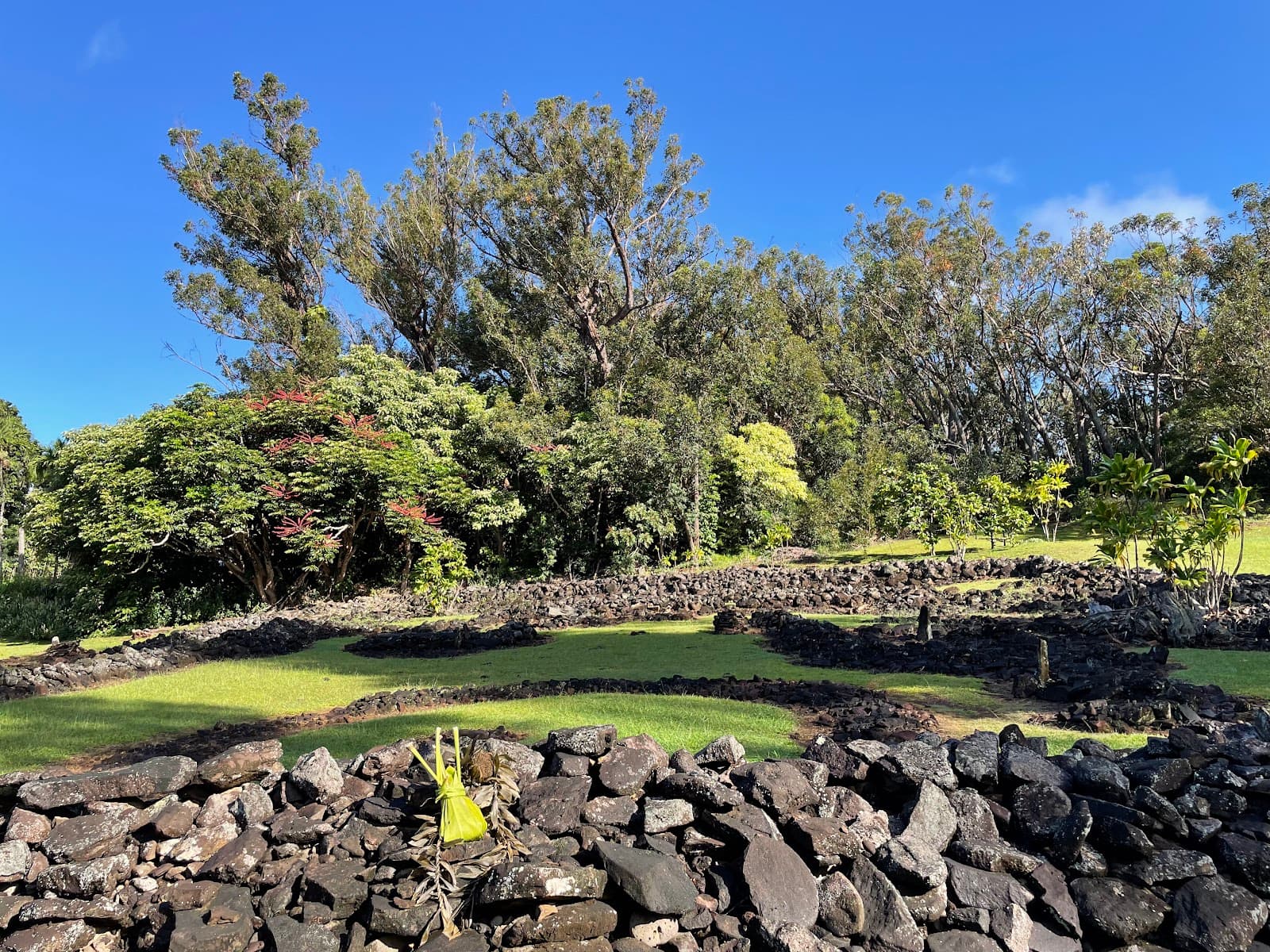 Keaiwa Heiau State Recreation Area Honolulu - Image 1