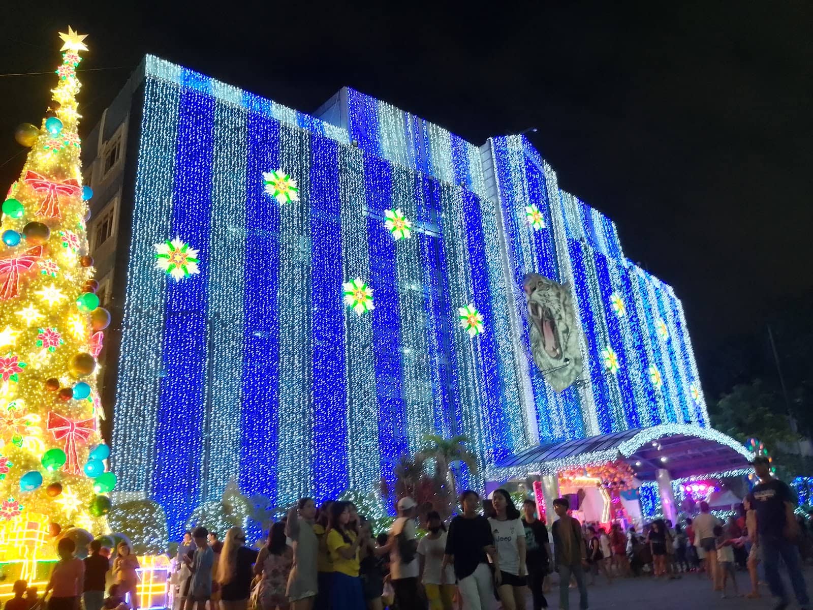 Community Zumba Sessions