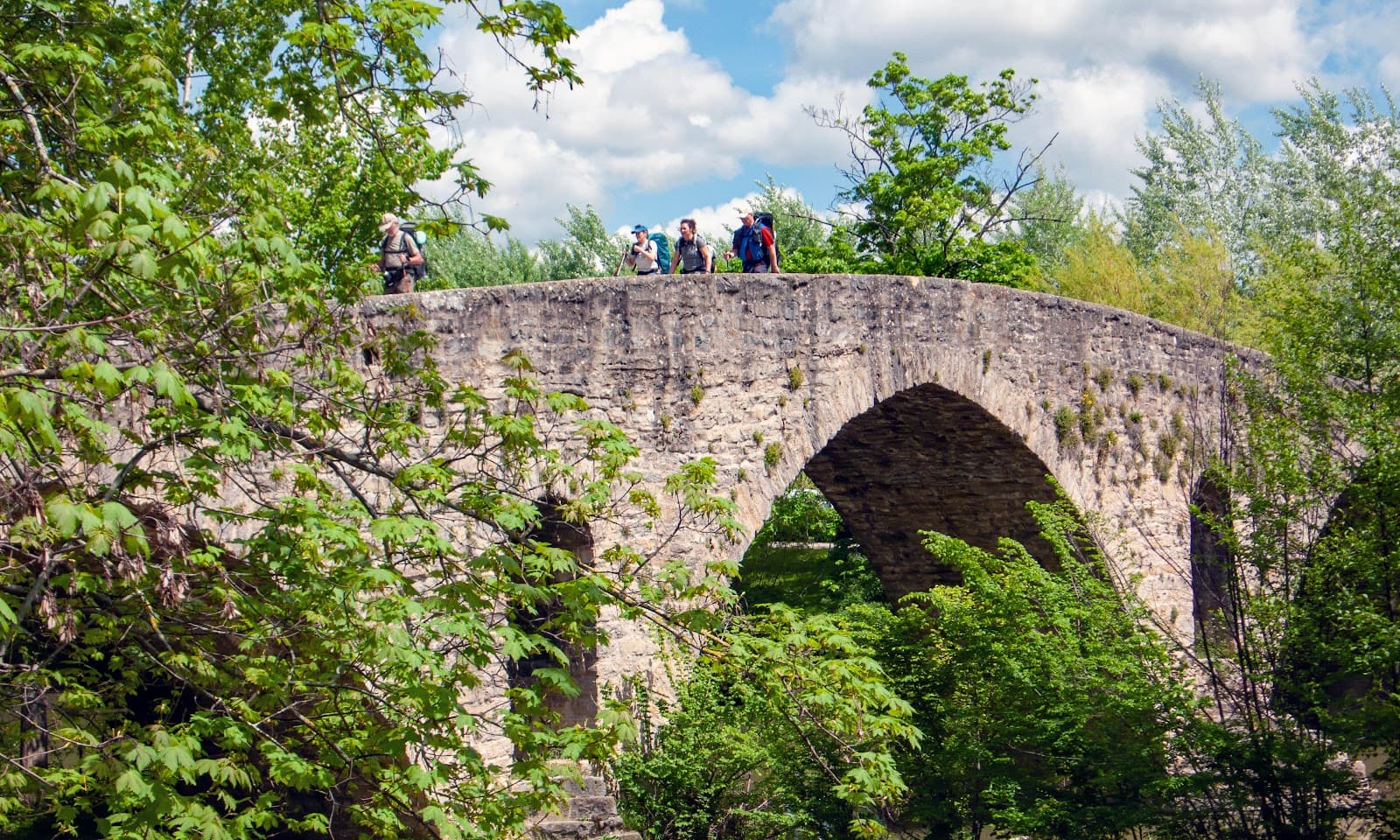 Magdalena Bridge - Image 1