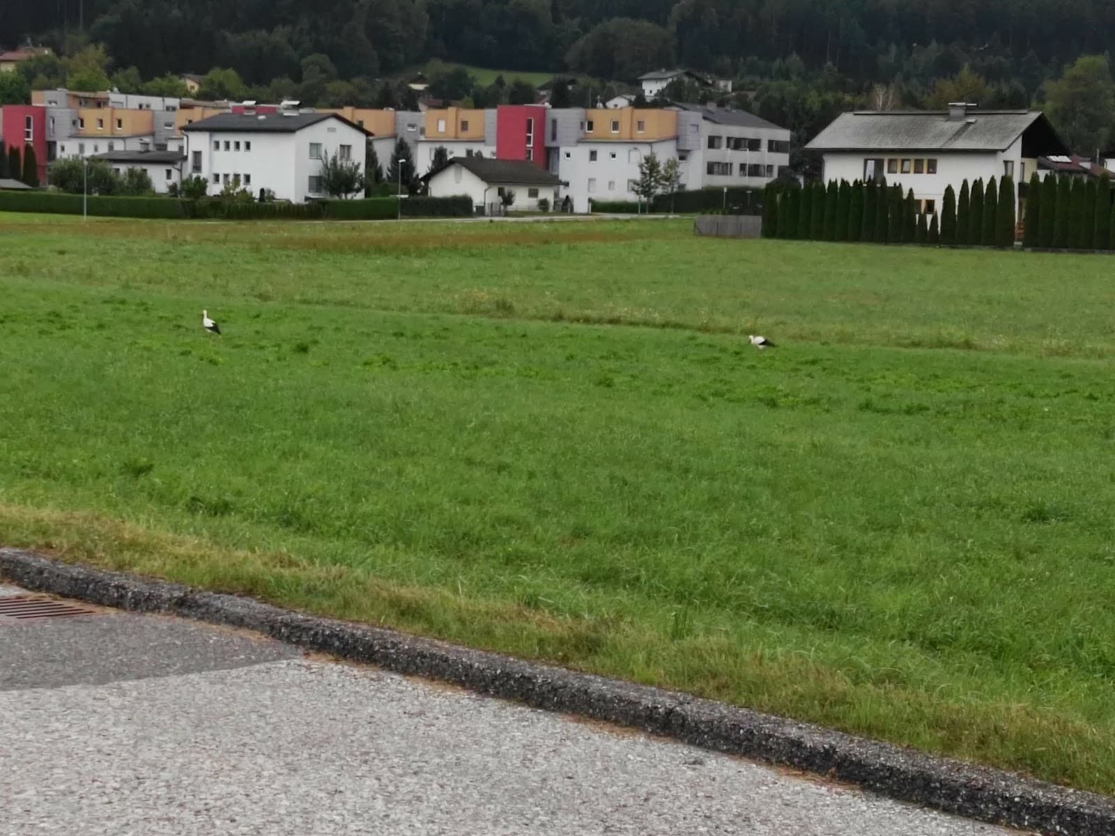 Maria Gail - Image 1