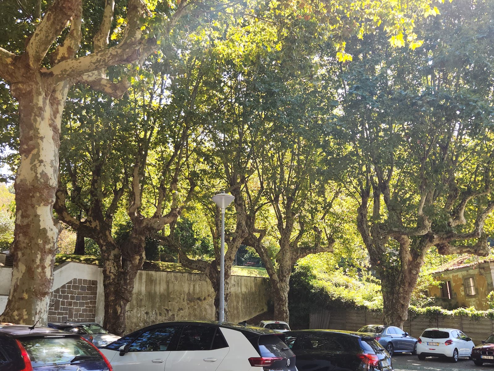 Rossio de Santa Maria da Feira - Image 1