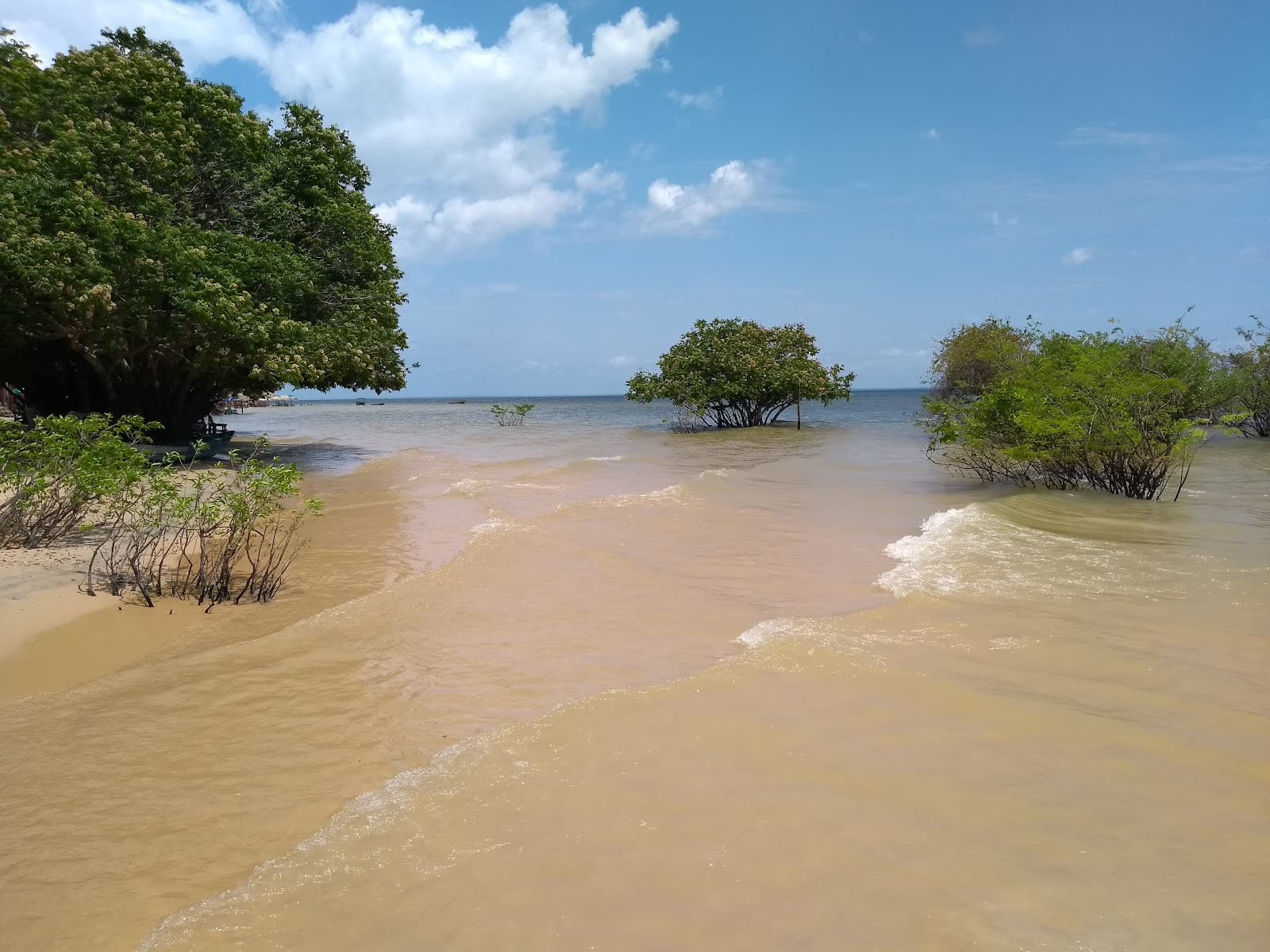 Ponta de Pedras - Image 1