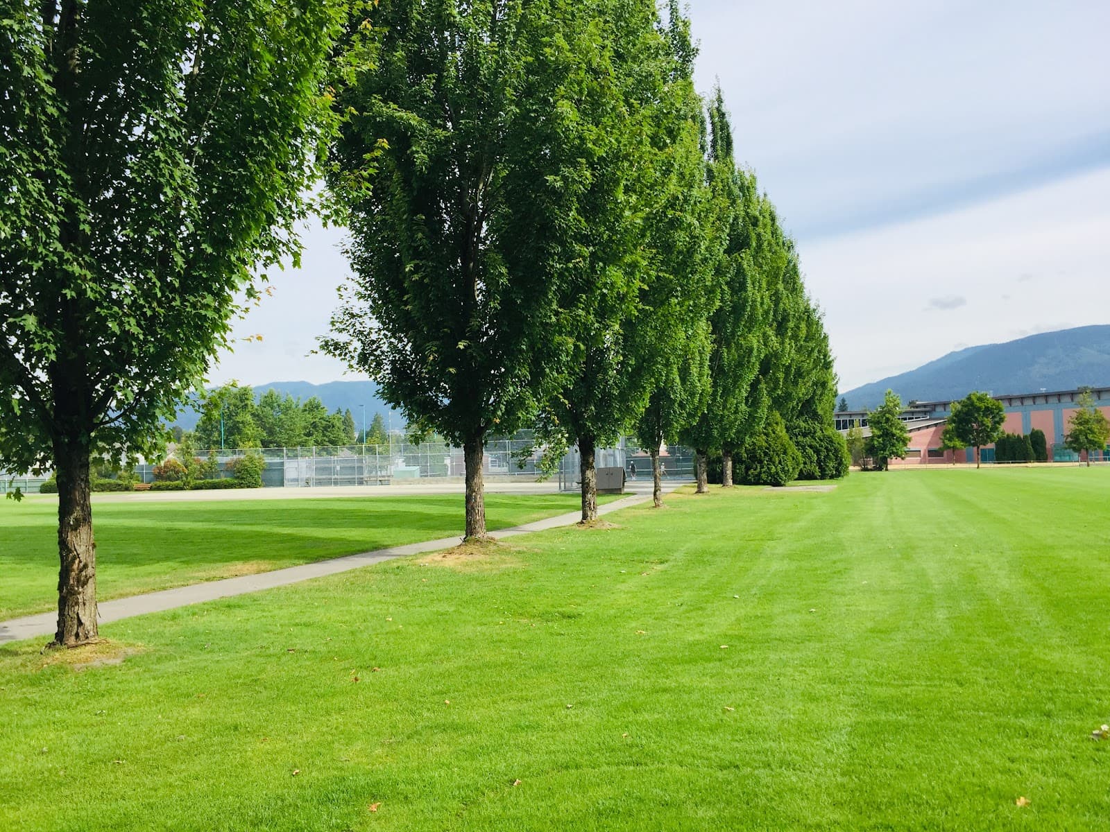 Terry Fox Hometown Square - Image 1