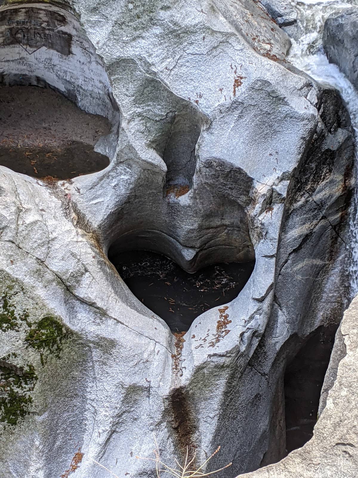 Scenic Creek-Side Trail