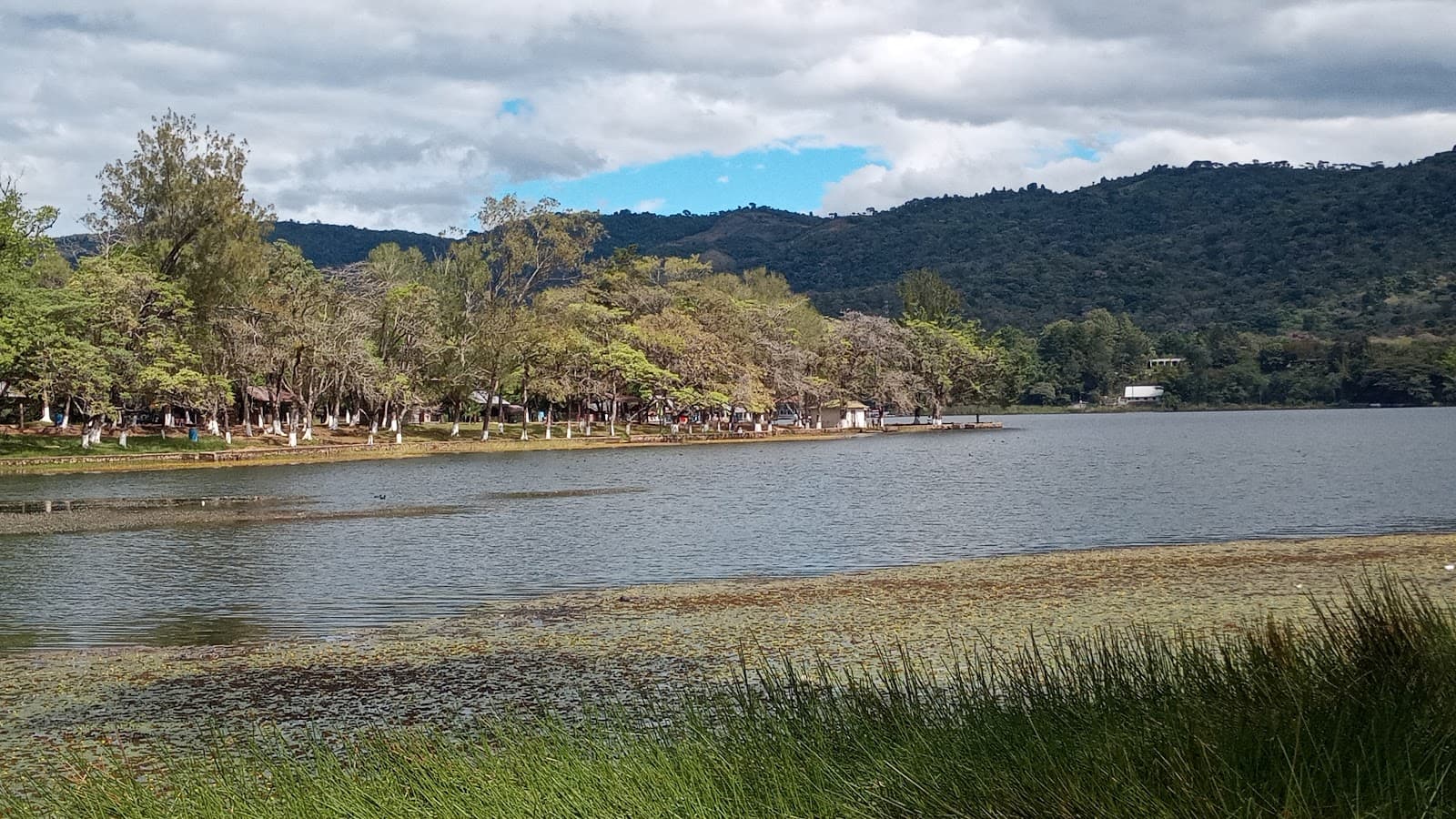 Laguna del Pino - Image 1