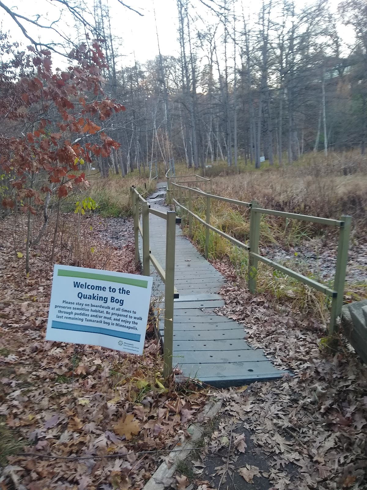 Quaking Bog - Image 1