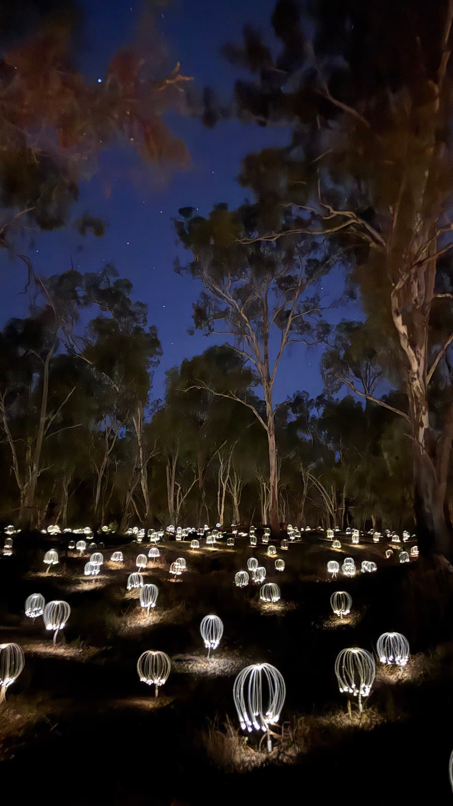 Mildura Street Art Trail - Image 1