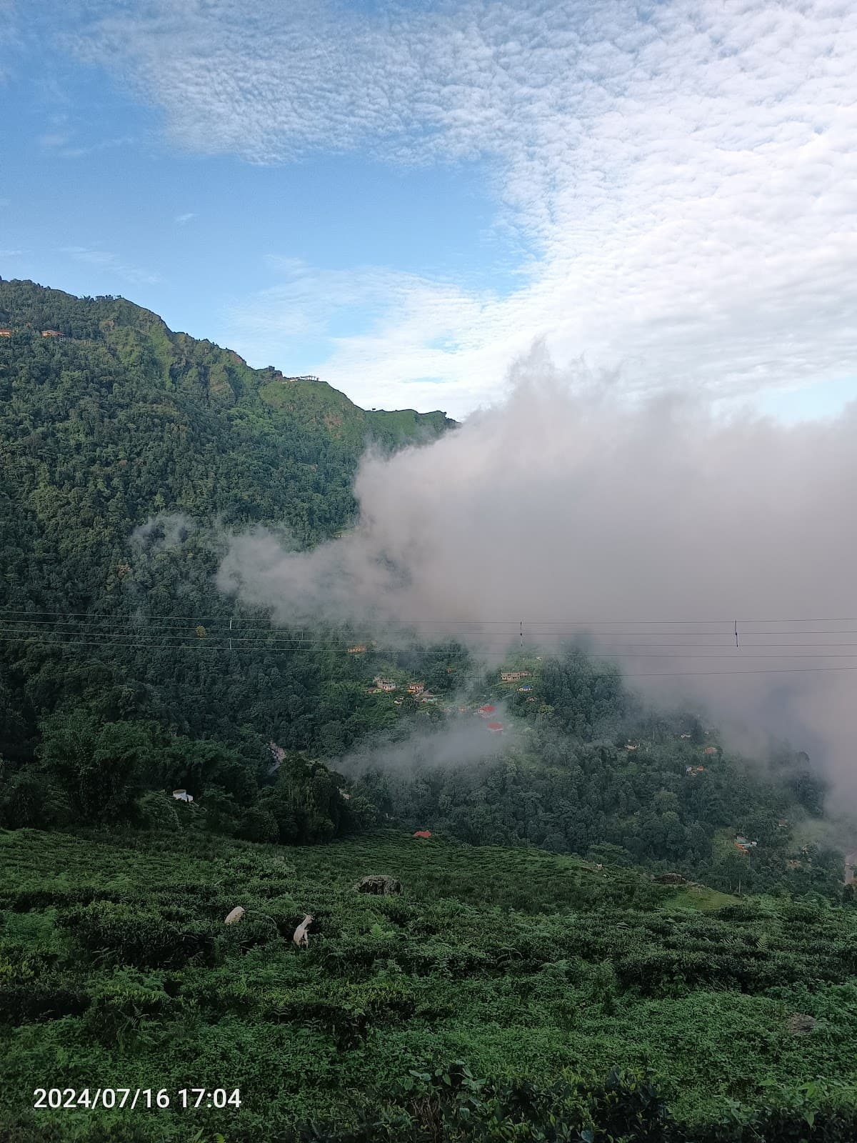 Kurseong (day trip) - Image 1