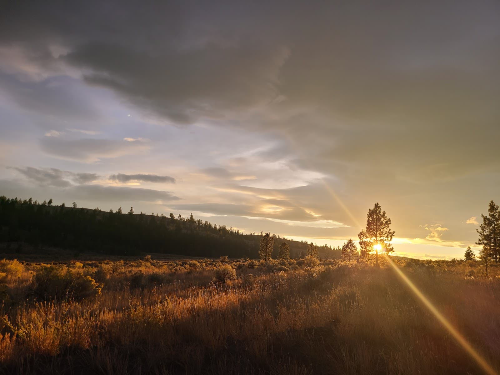 Dewdrop-Rosseau Provincial Park - Image 1