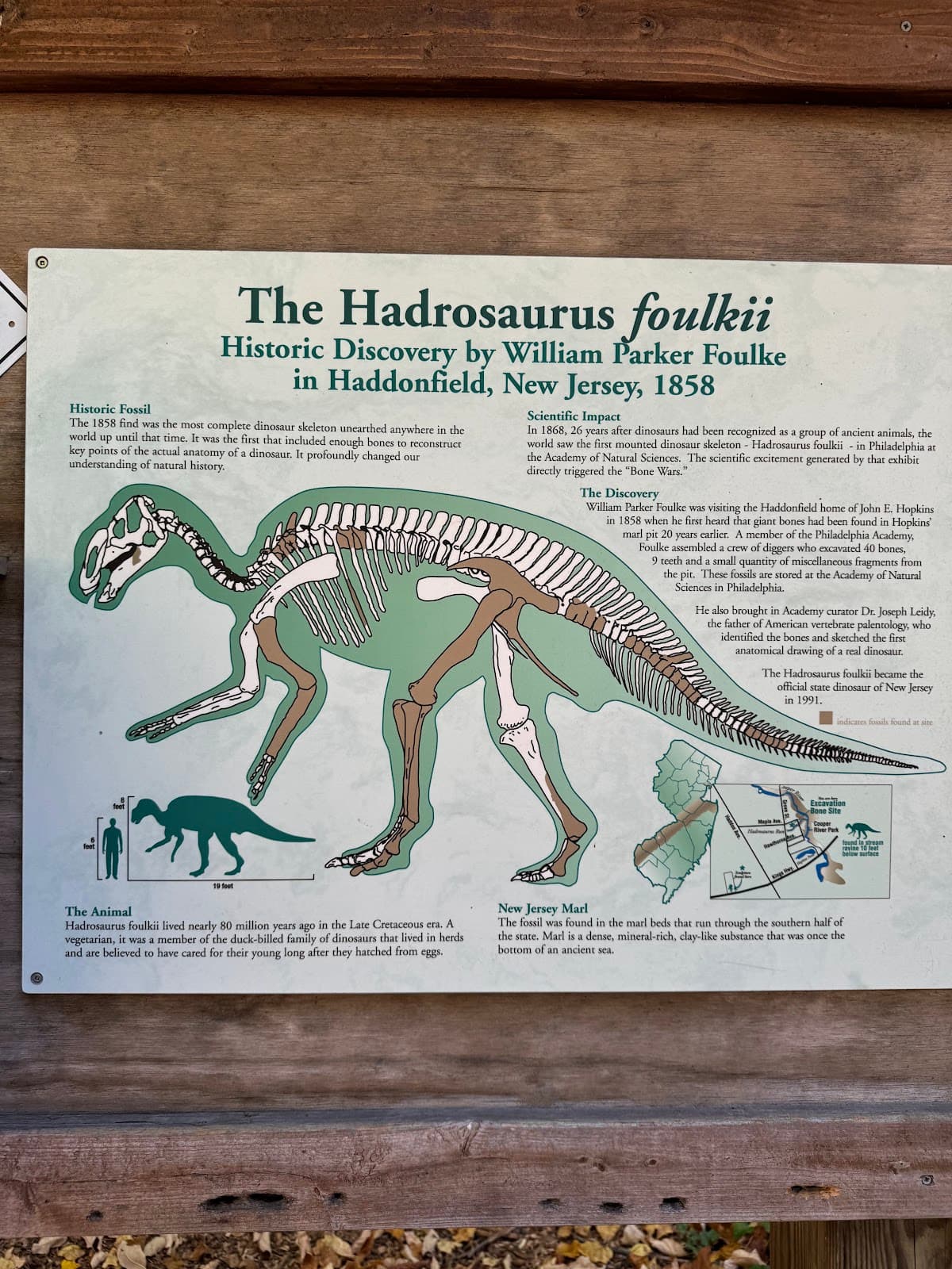 Hadrosaurus Foulkii Leidy Site - Image 1