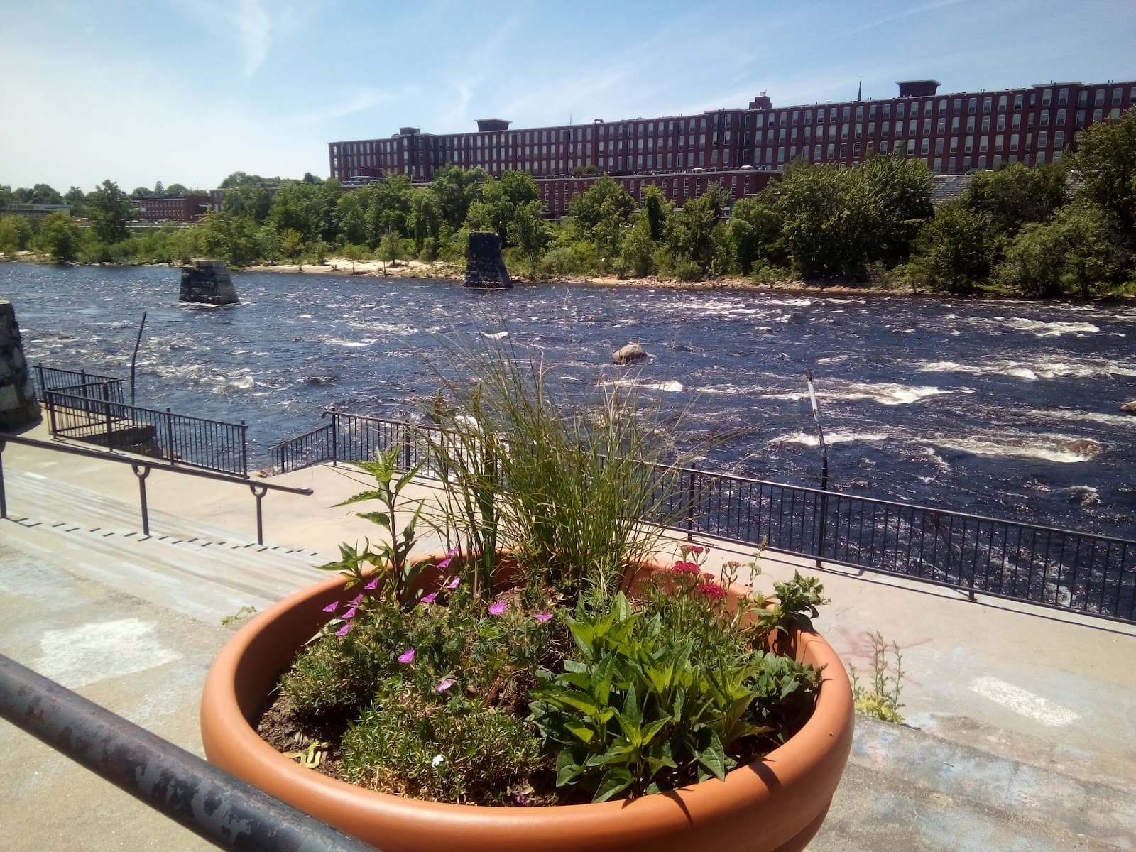 Manchester Riverwalk & Arms Park - Image 1
