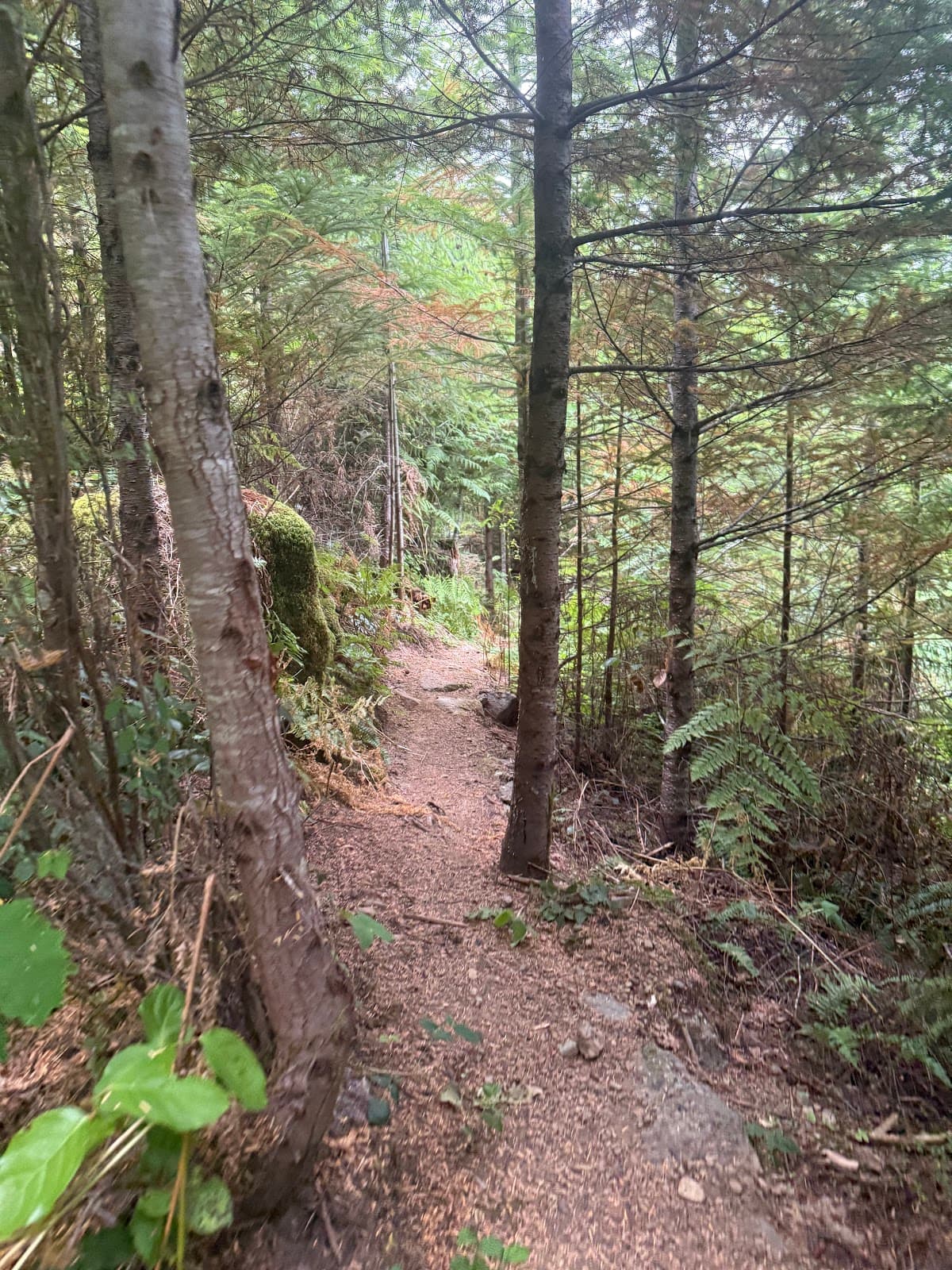 Extension Ridge The Abyss - Image 1