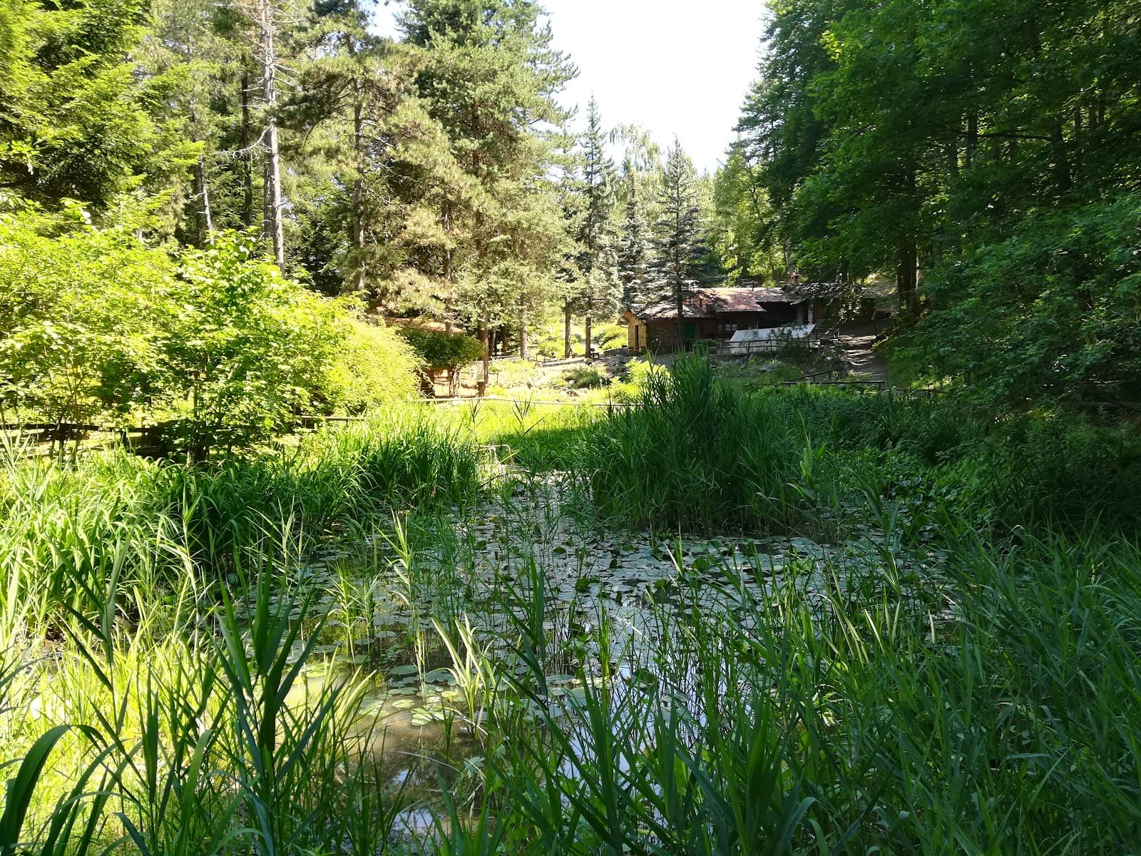 Pietra Corva - Image 1