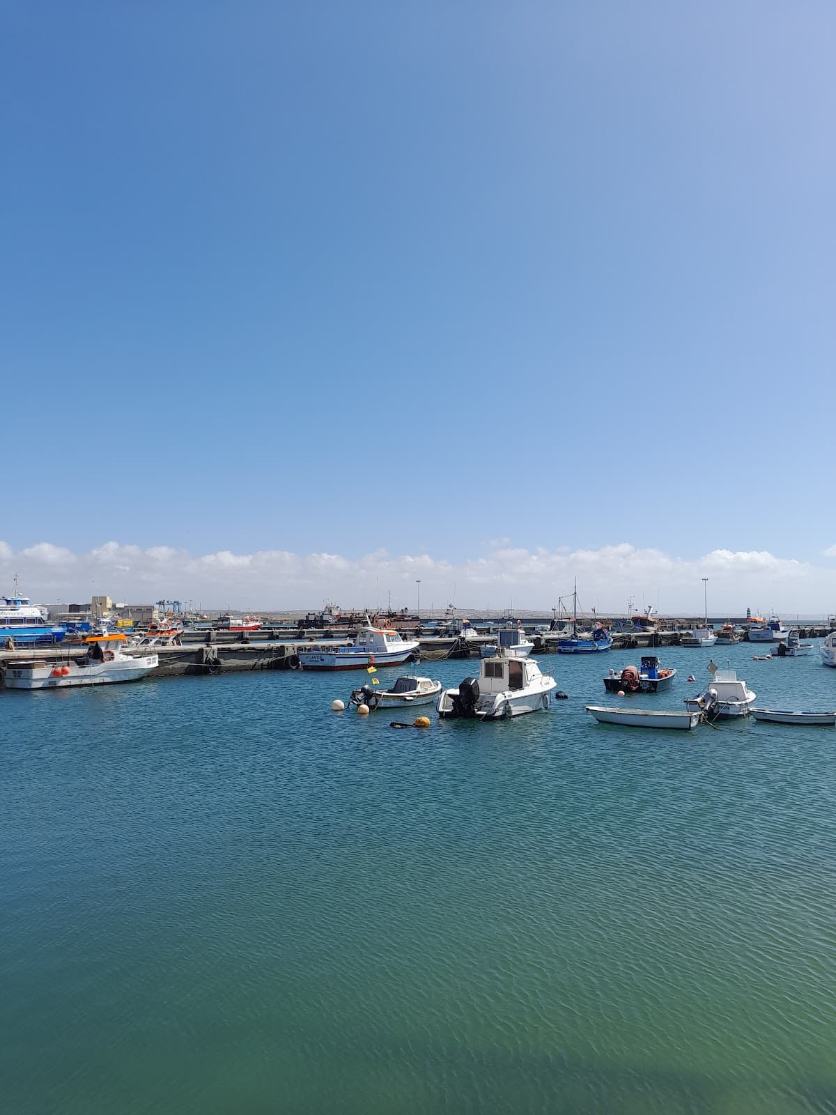 Peniche Fish Auction - Image 1