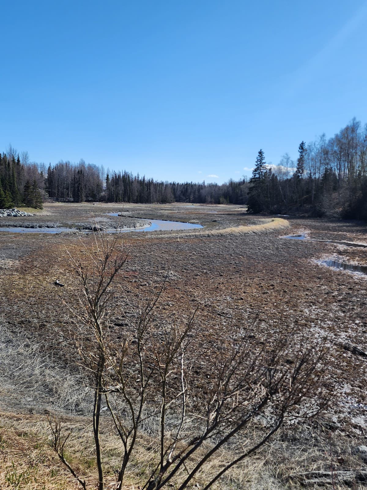 Tony Knowles Coastal Trail Anchorage - Image 1
