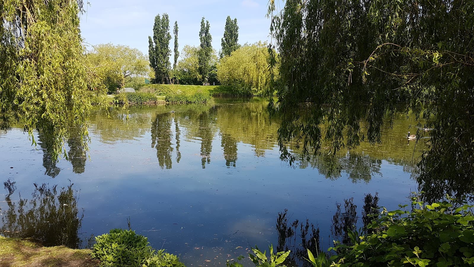 Gloucester Park - Image 1