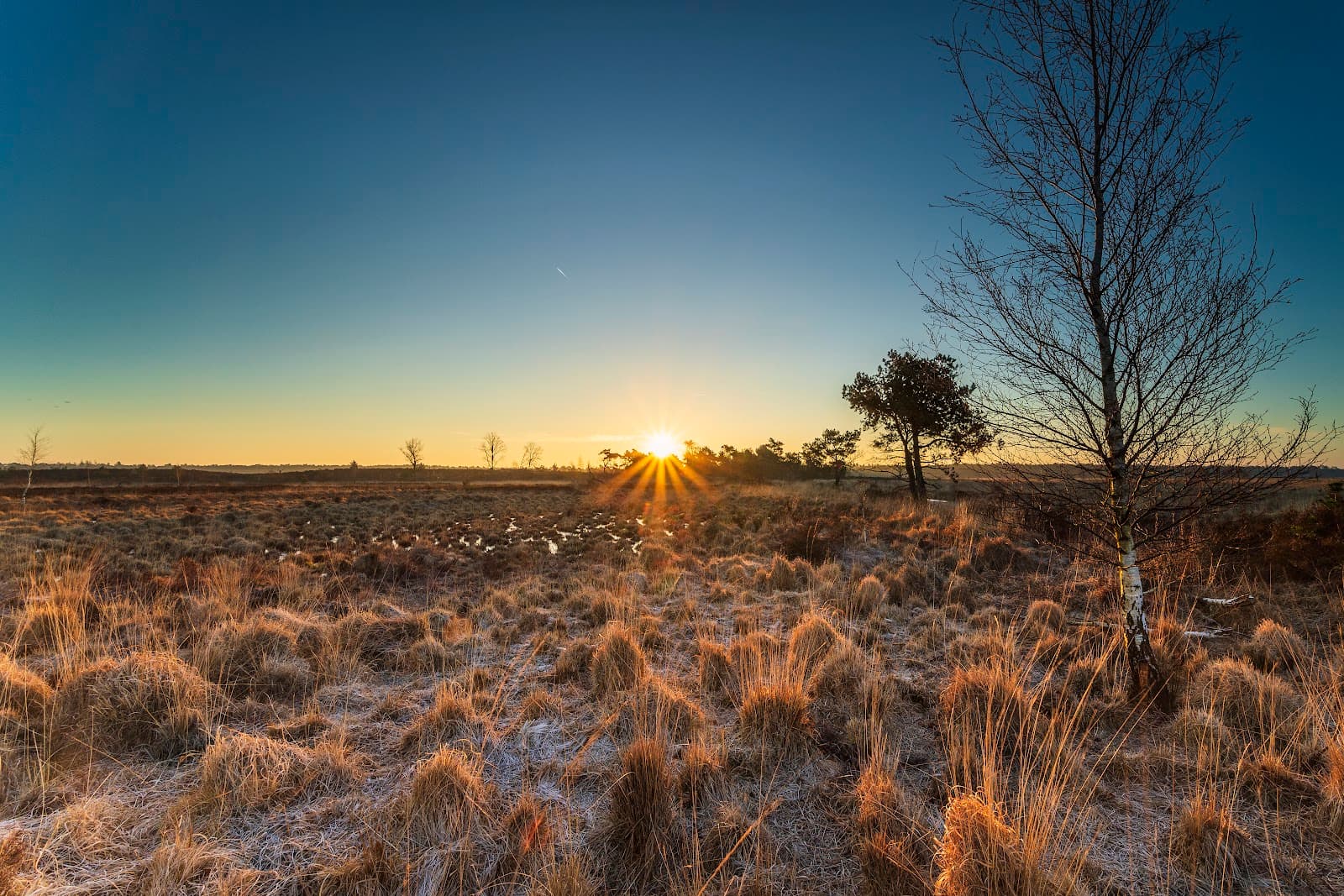 Kalmthoutse Heide - Image 1
