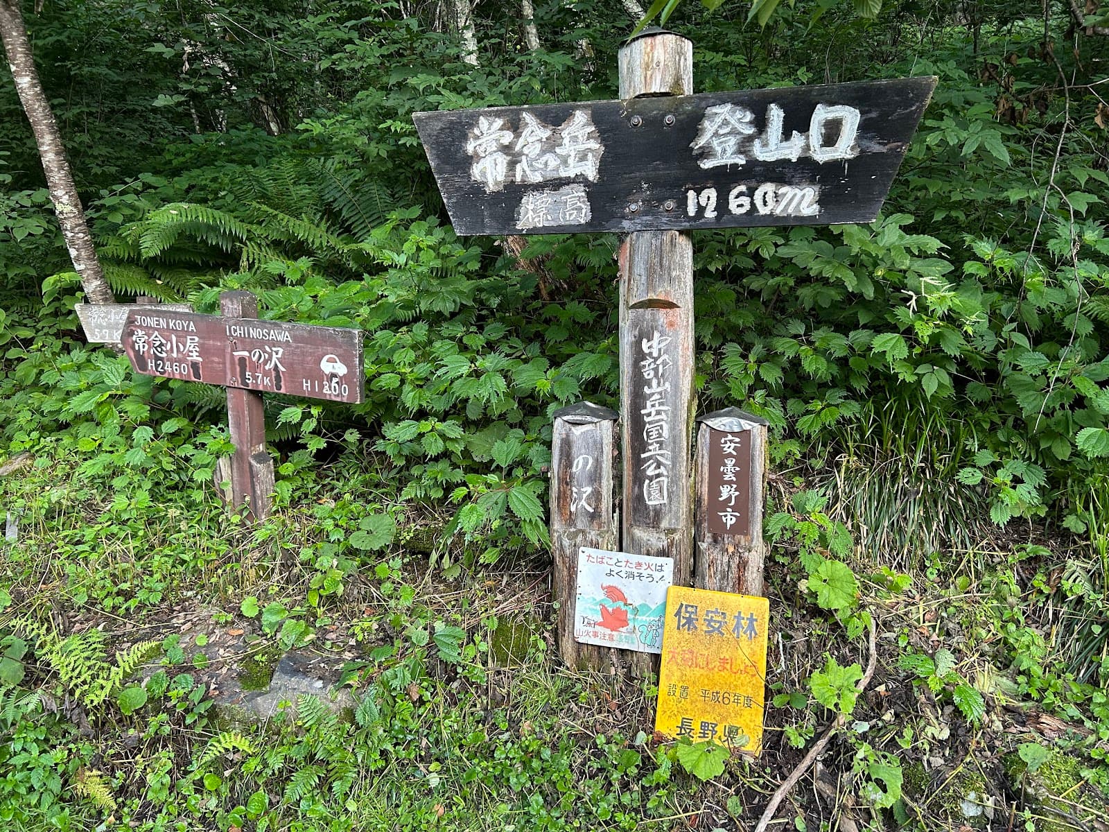 Ichinosawa (Mt. Jonen trailhead) - Image 1