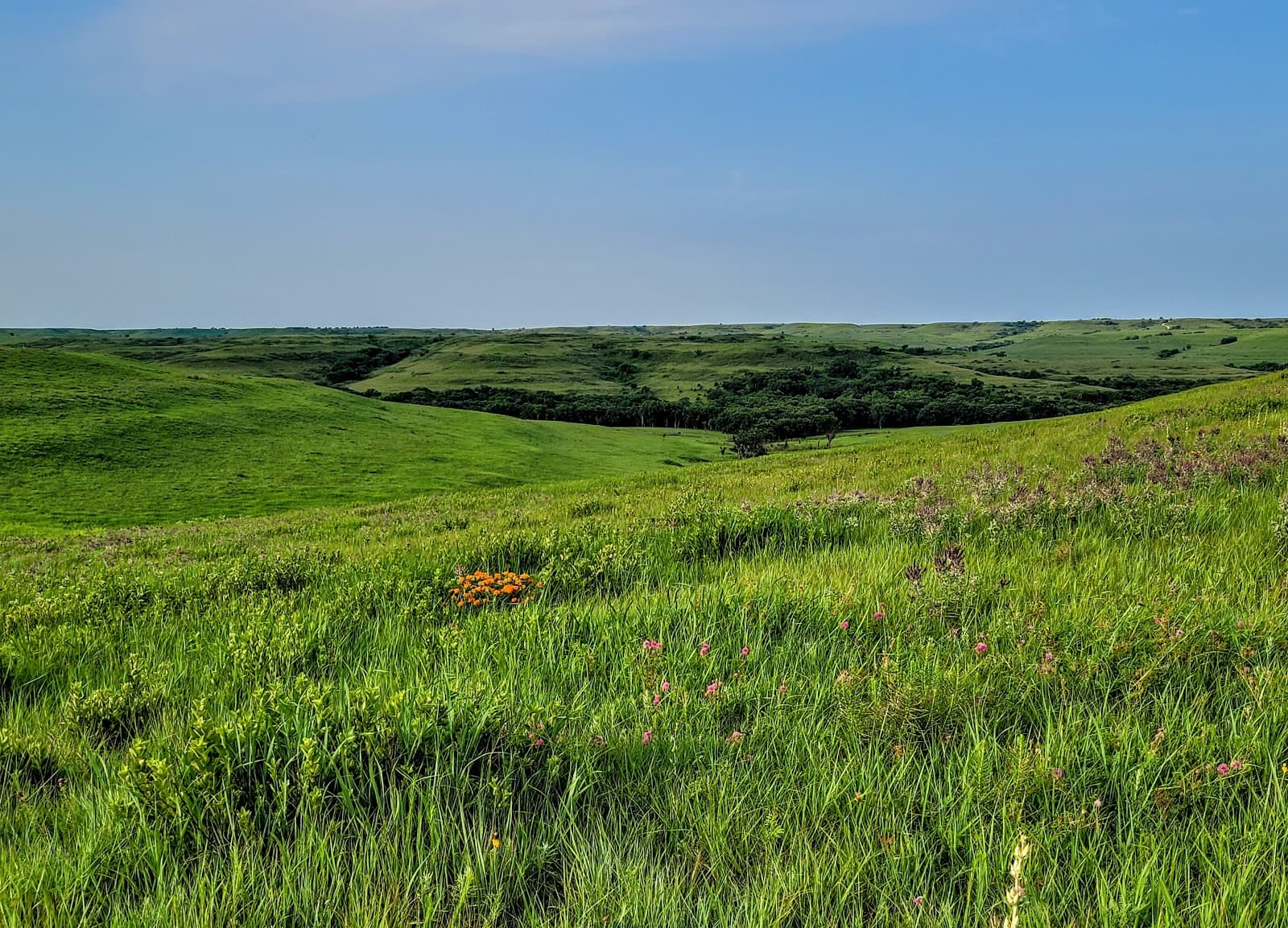Konza Prairie Biological Station - Image 1