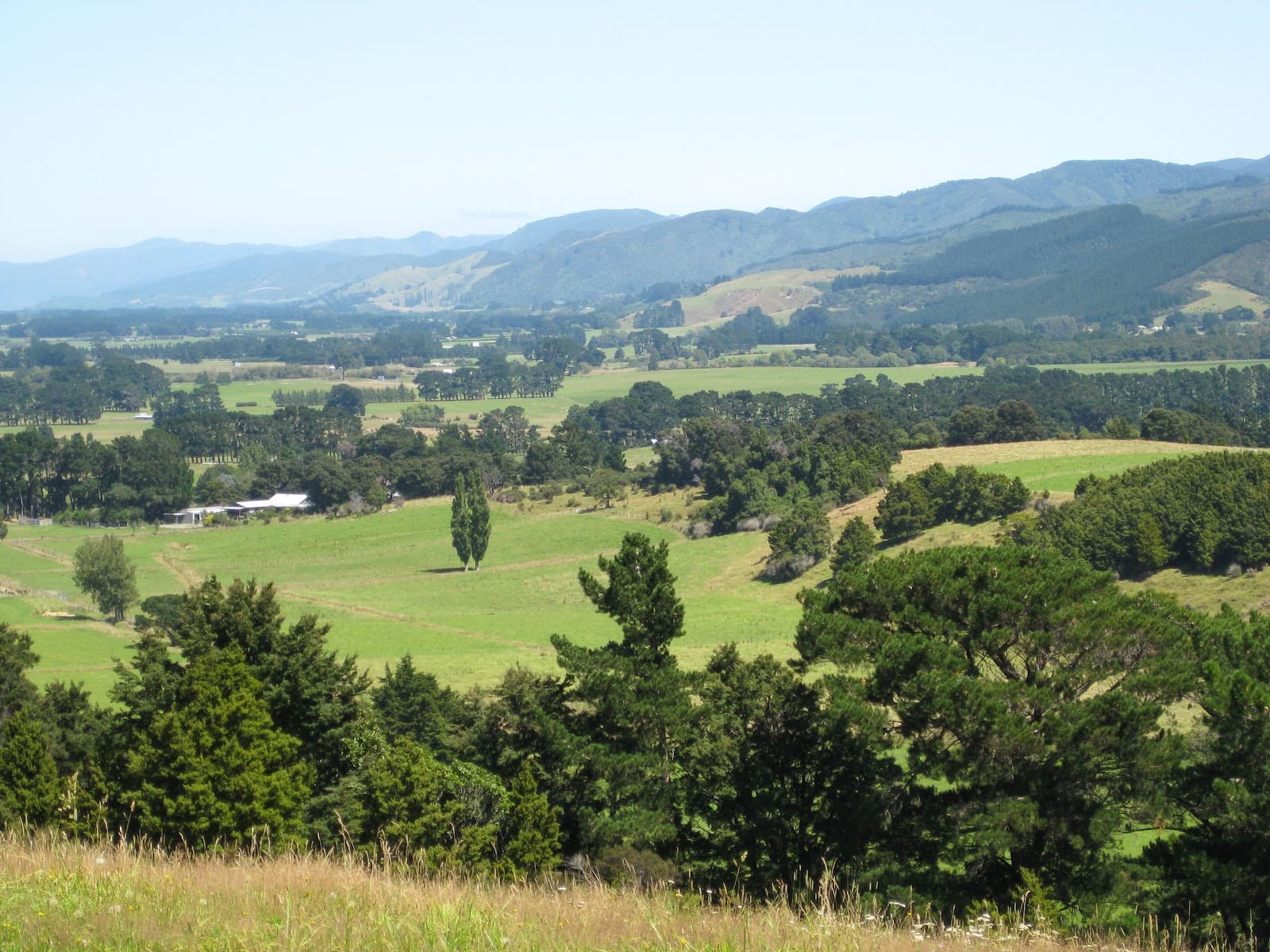 Fensham Reserve - Image 1