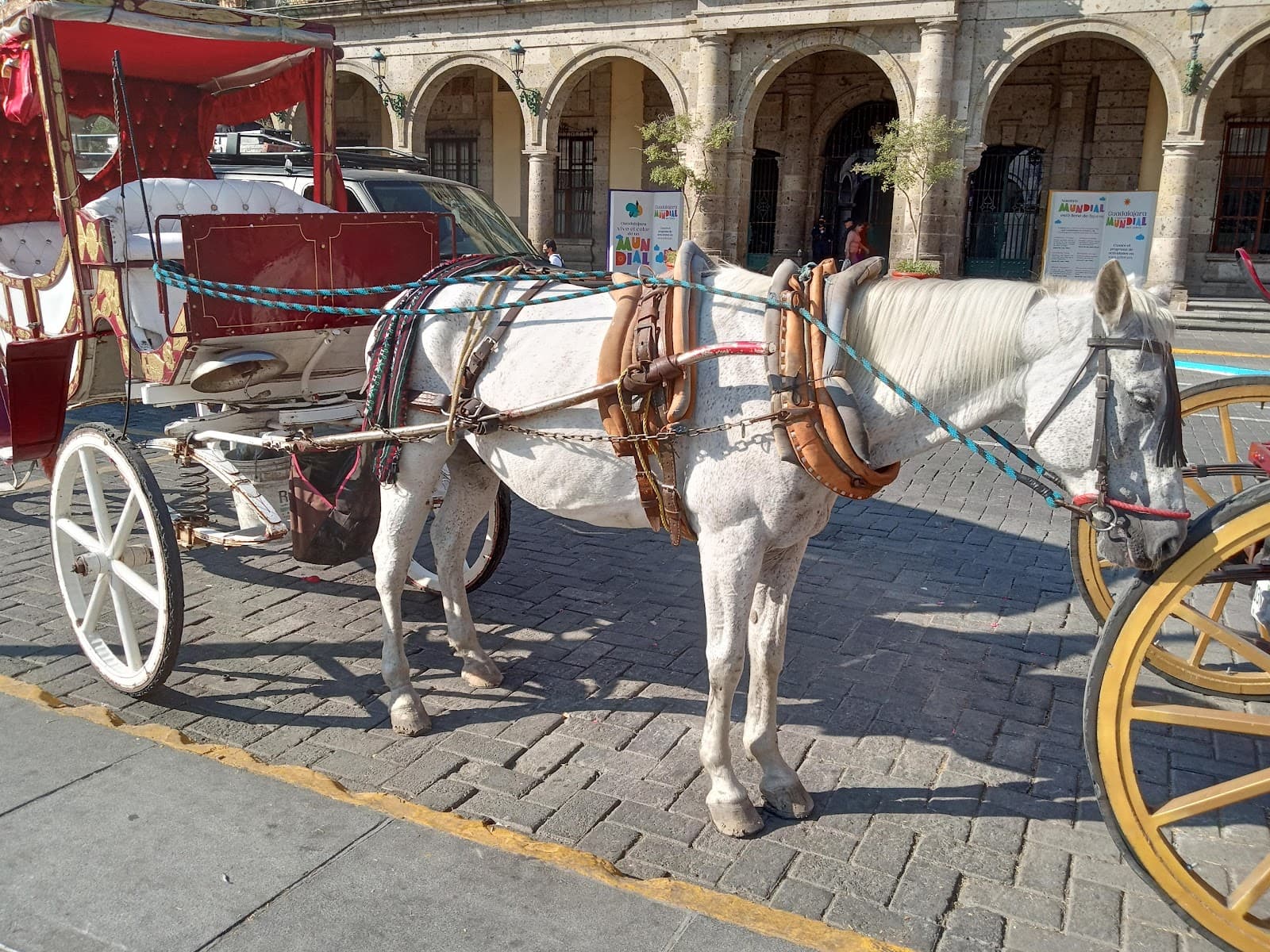 San Juan de Ocotán Centro - Image 1