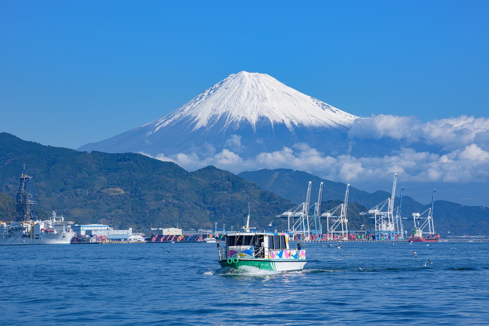 Shimizu Marine Park - Image 1