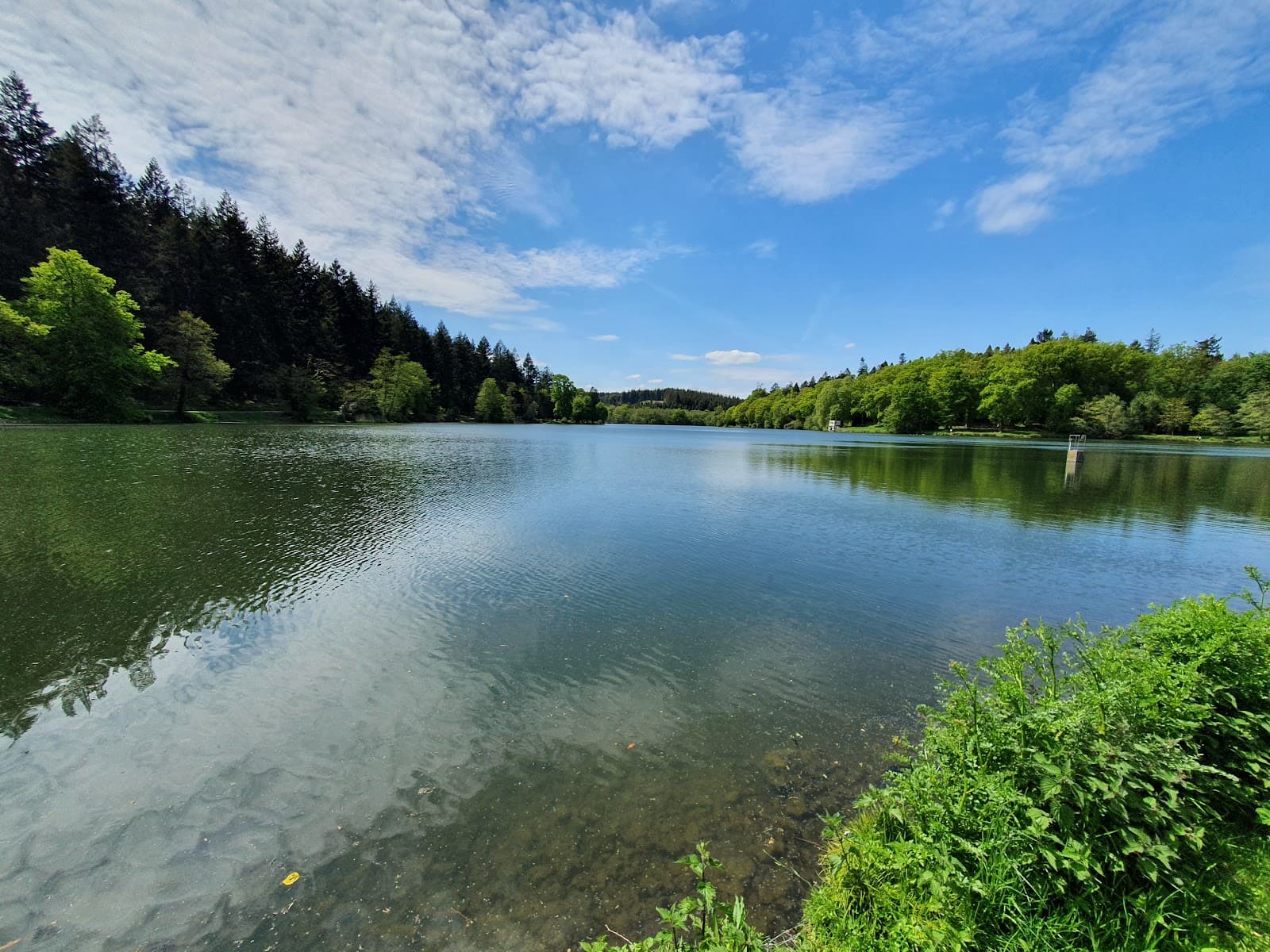 Shearwater Lake - Image 1