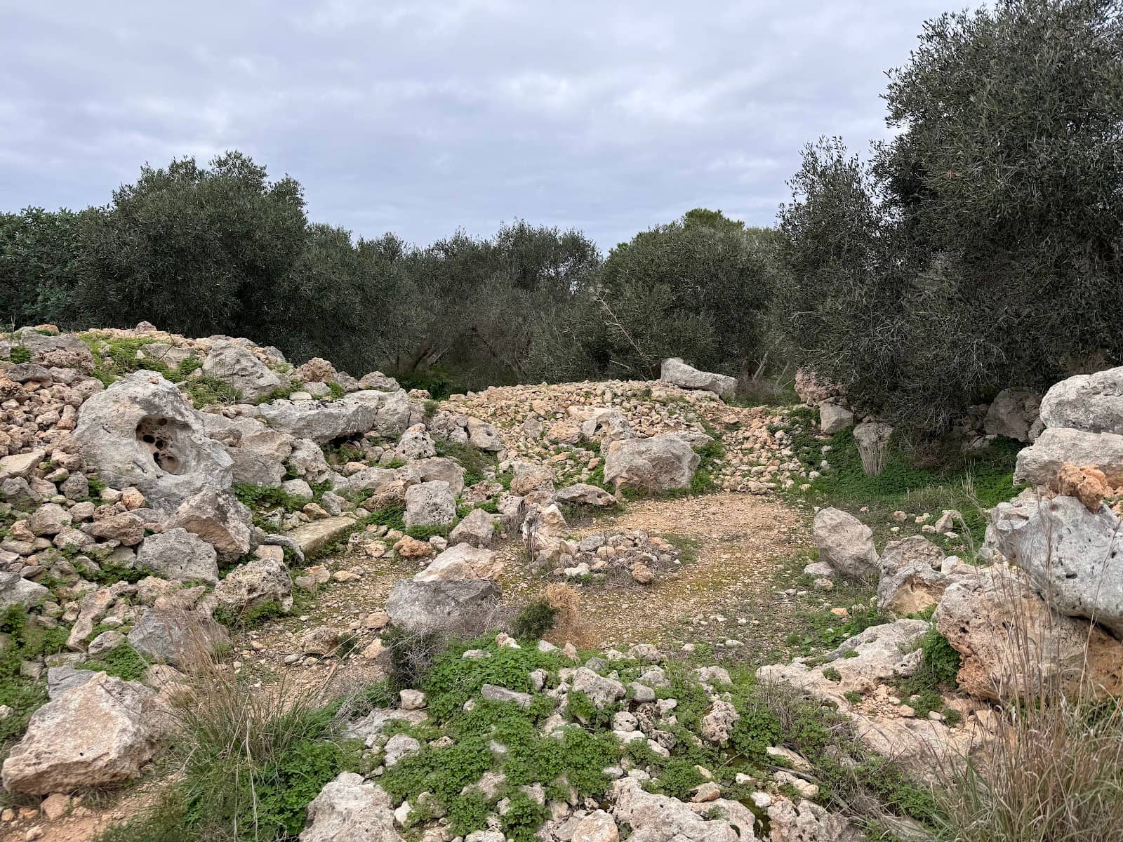 Peaceful Walking Trails