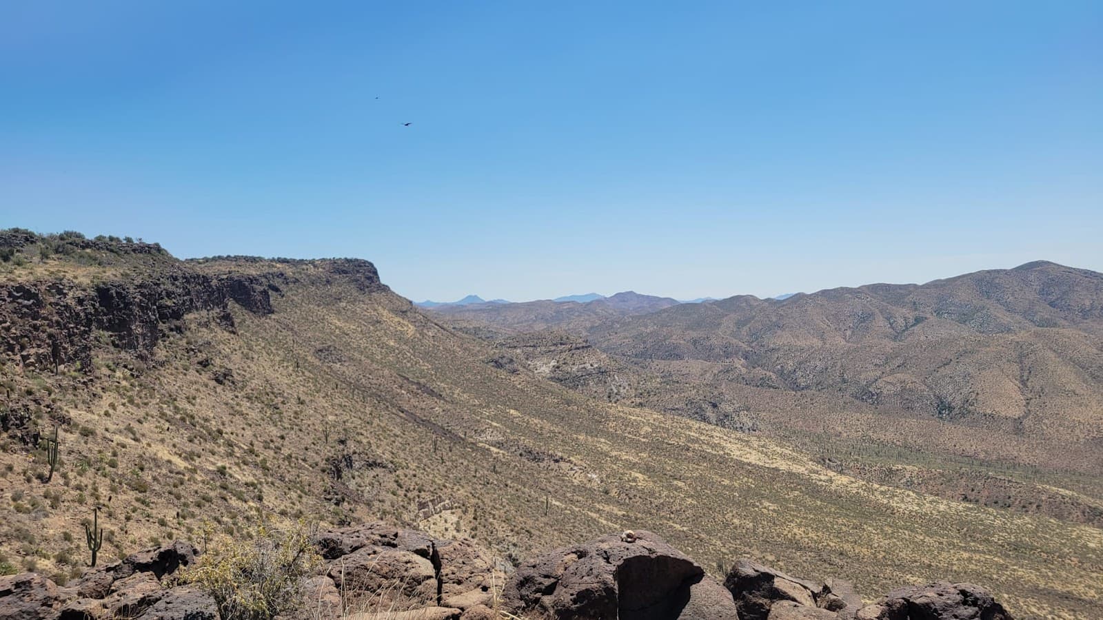 Skull Mesa - Image 1