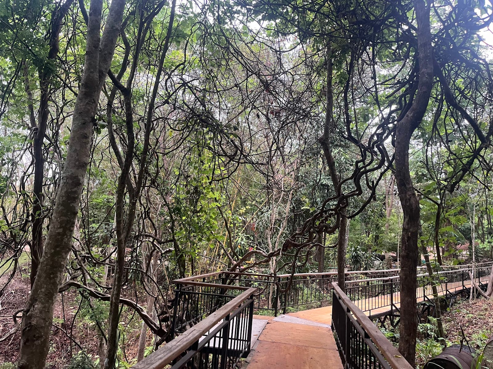 Troh Bu Ecopark - Image 1