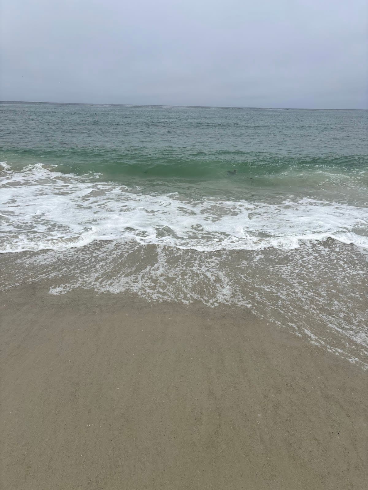 Spanish Bay Beach - Image 1