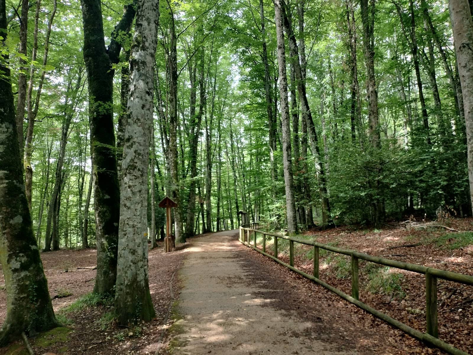 Deer Park (Parco dei Daini)