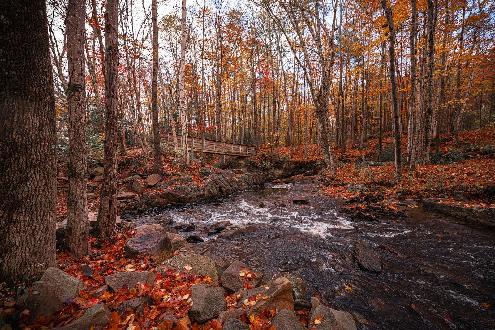 Killington Peak Summit