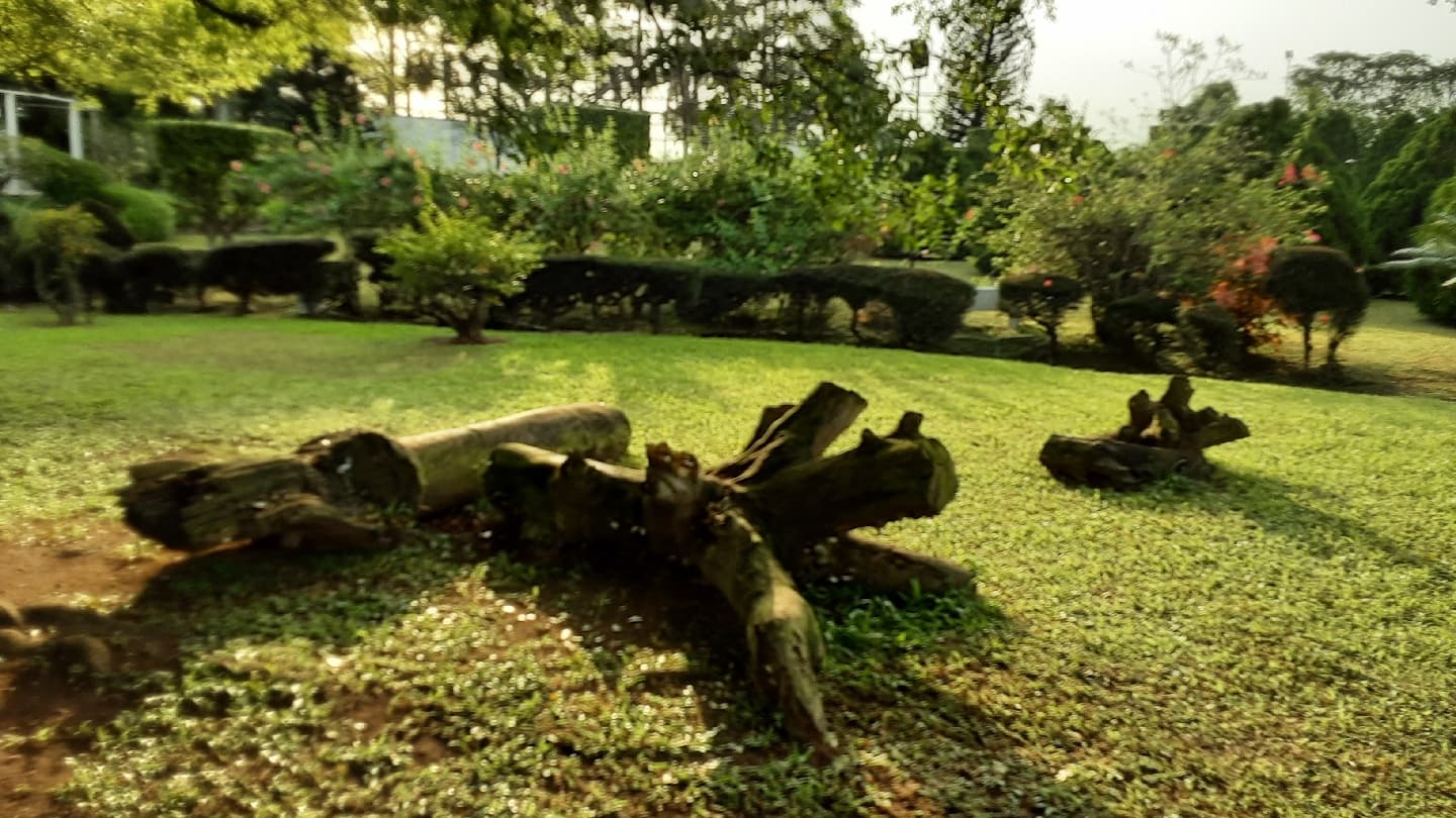 Jhalobia Recreation Park & Gardens - Image 1