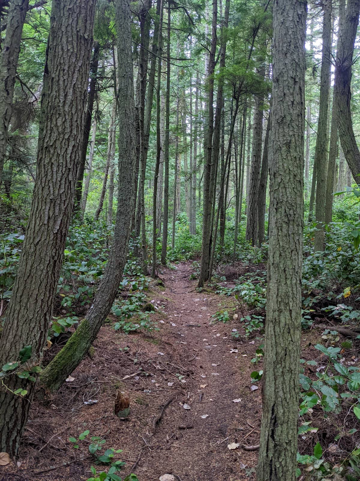 WWII Historical Sites