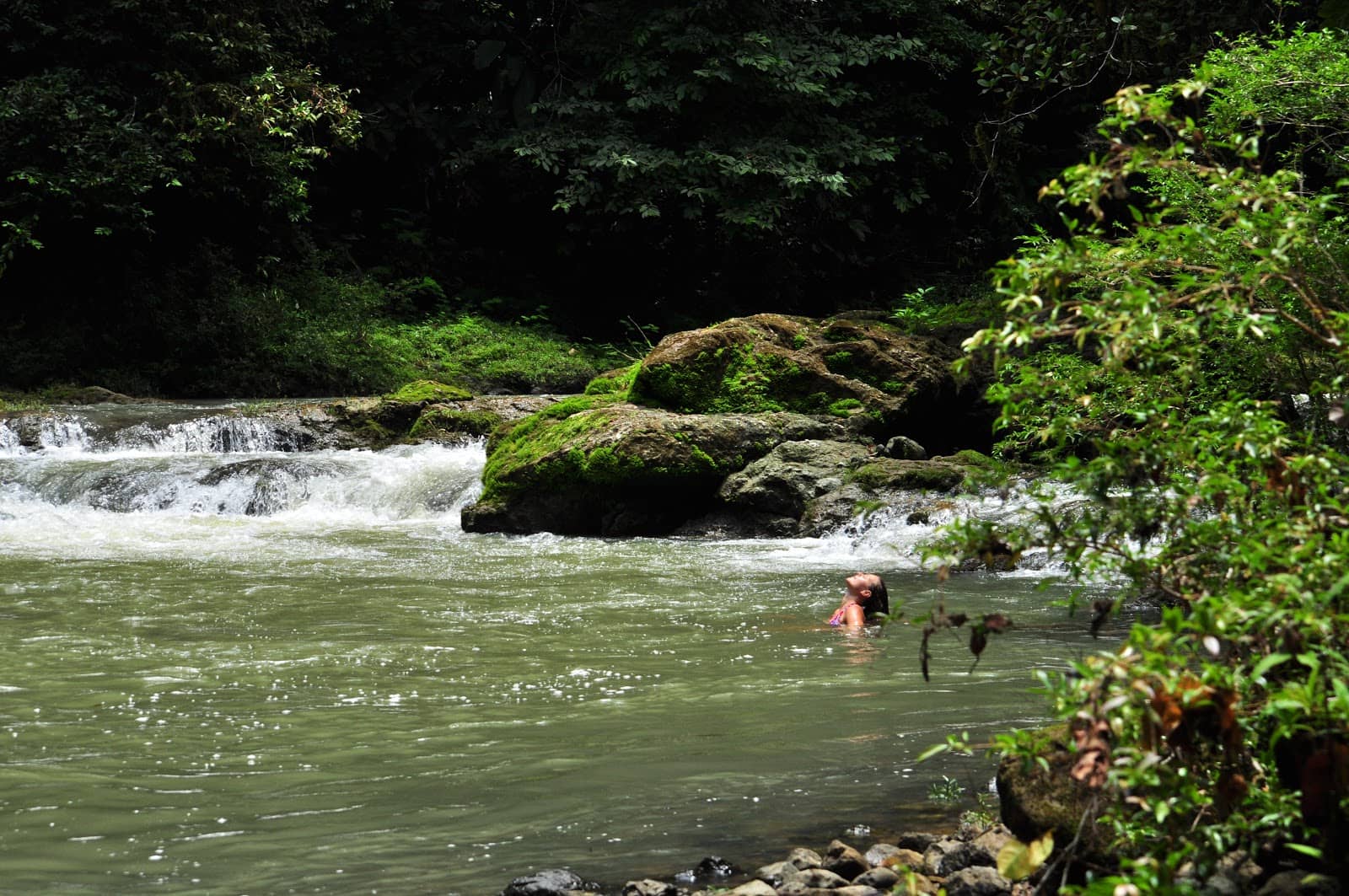 Tapir Trail Adventure