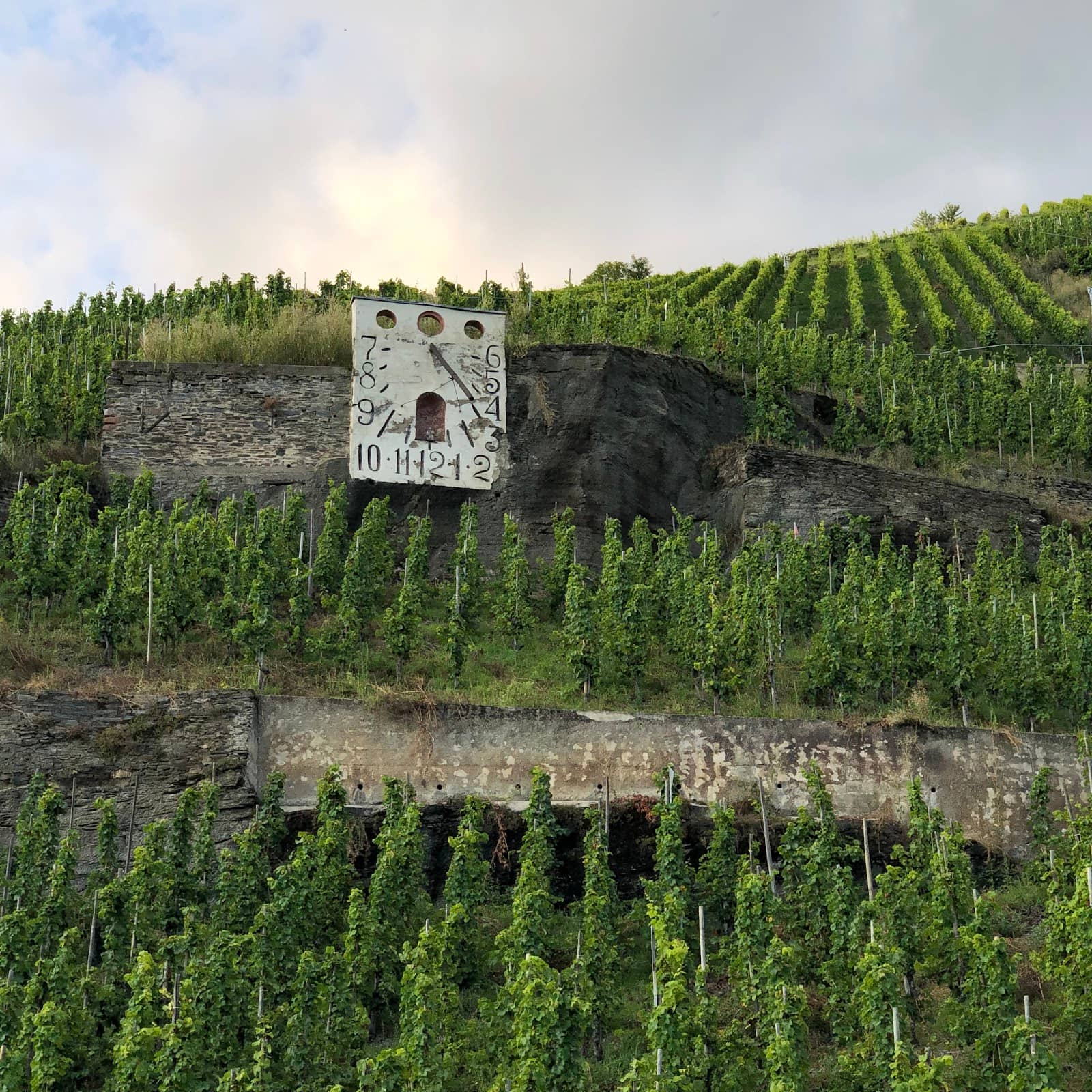 Wine Festival Atmosphere