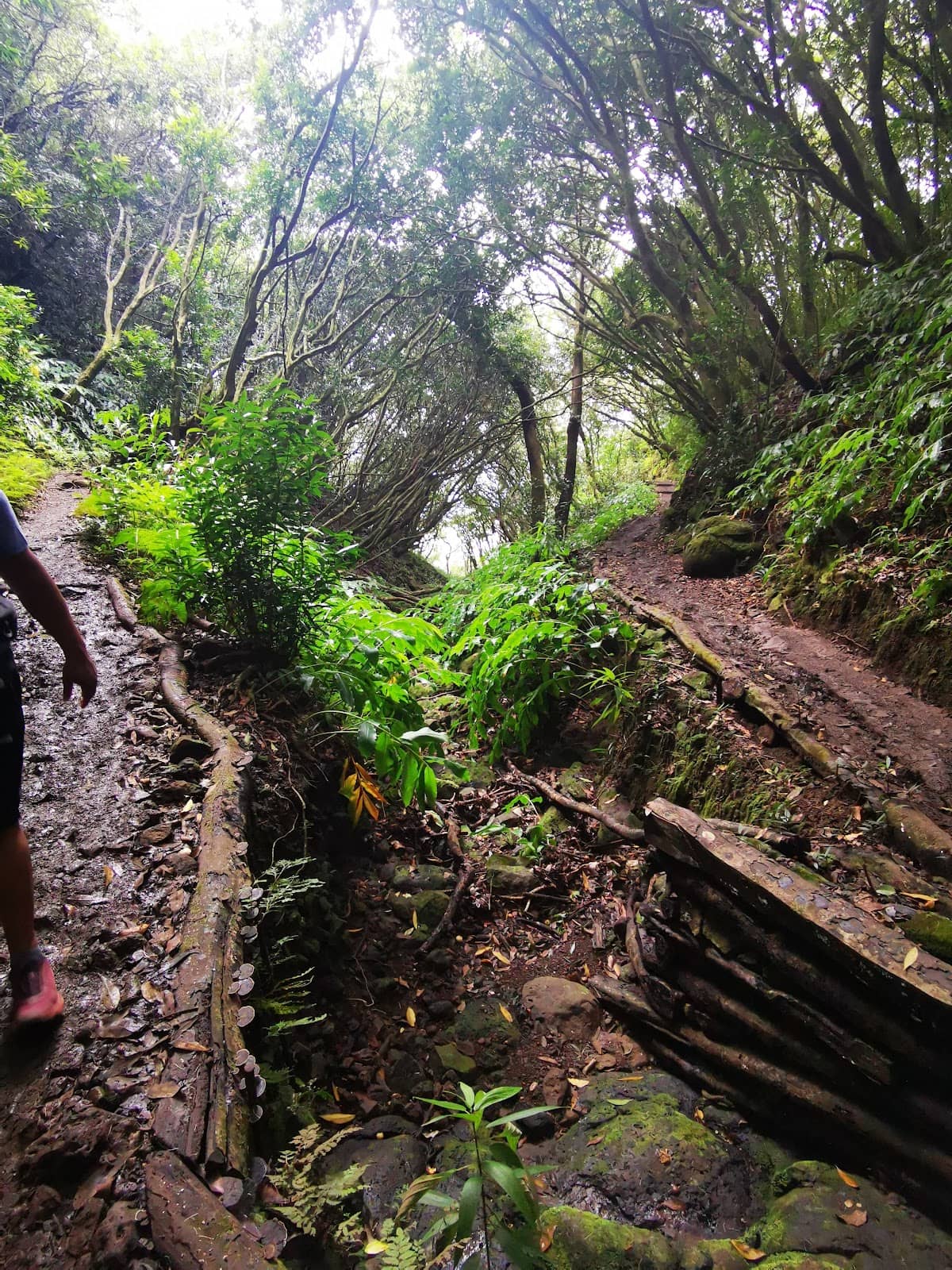 Unique Coffee Shop Experience