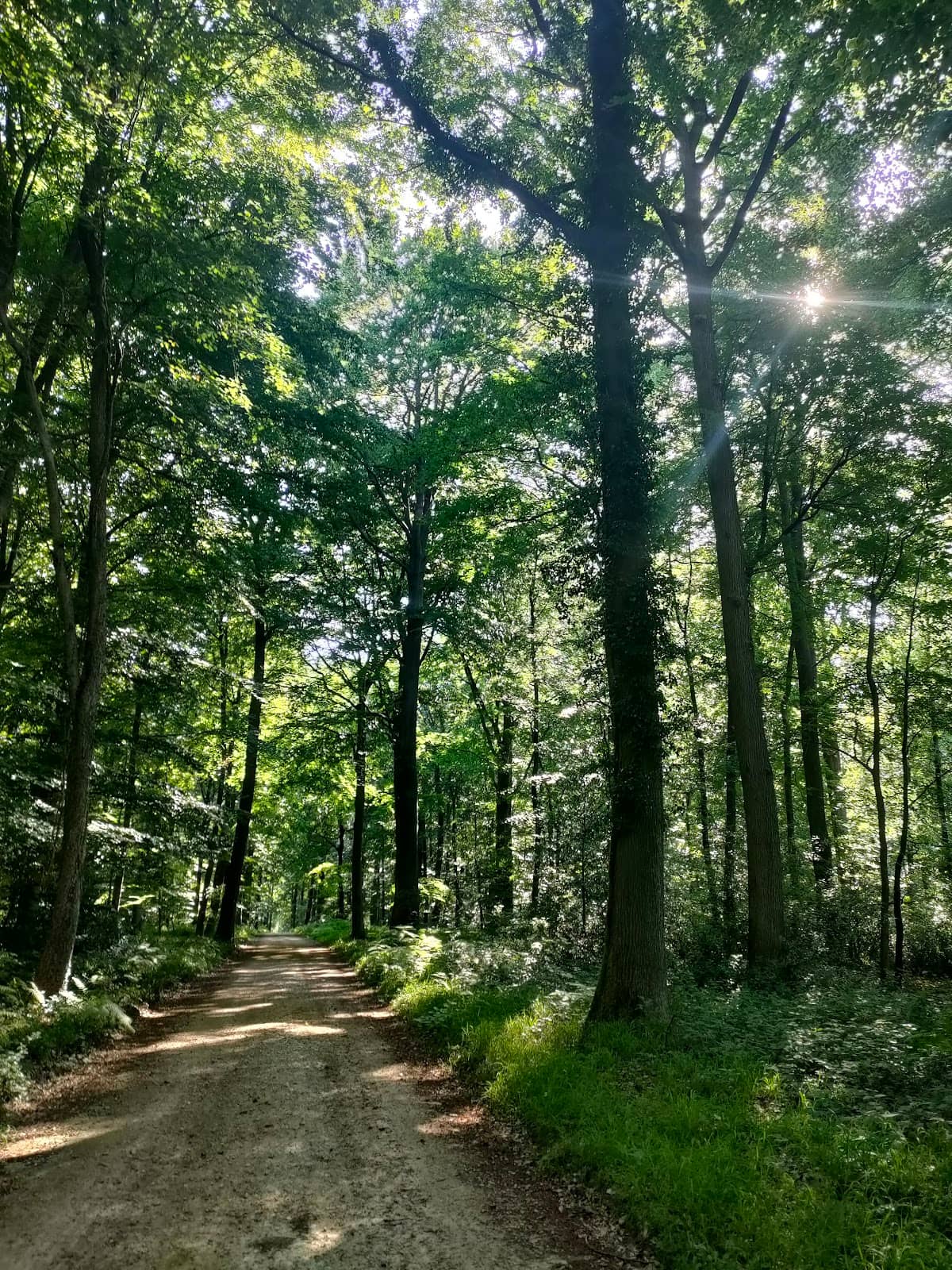 Chantilly's Grandeur