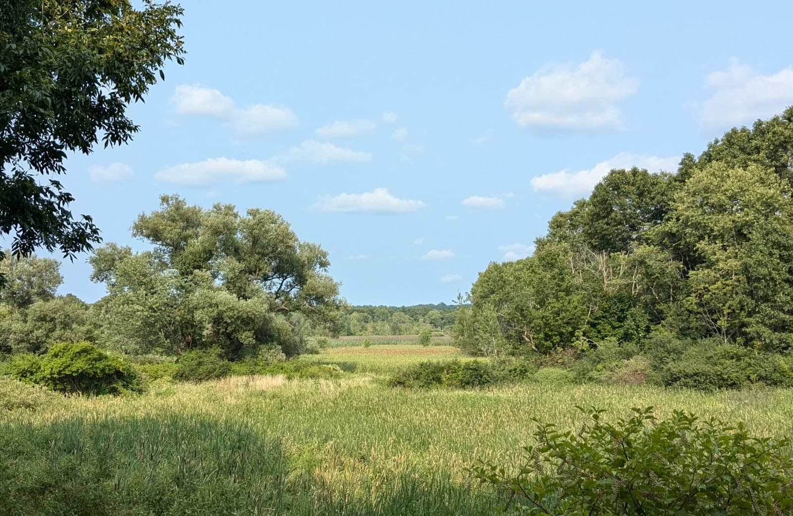Arlington's Great Meadow - Image 1