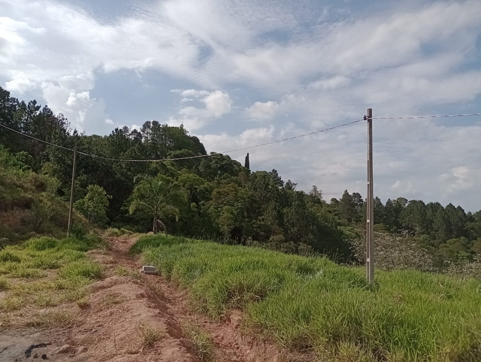 São João Novo - Image 1