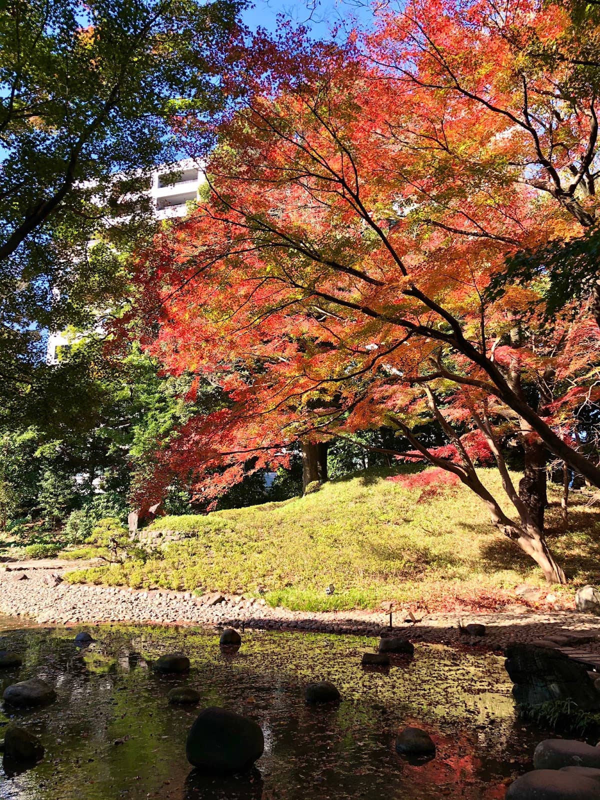 Edo-Period Landscape Design