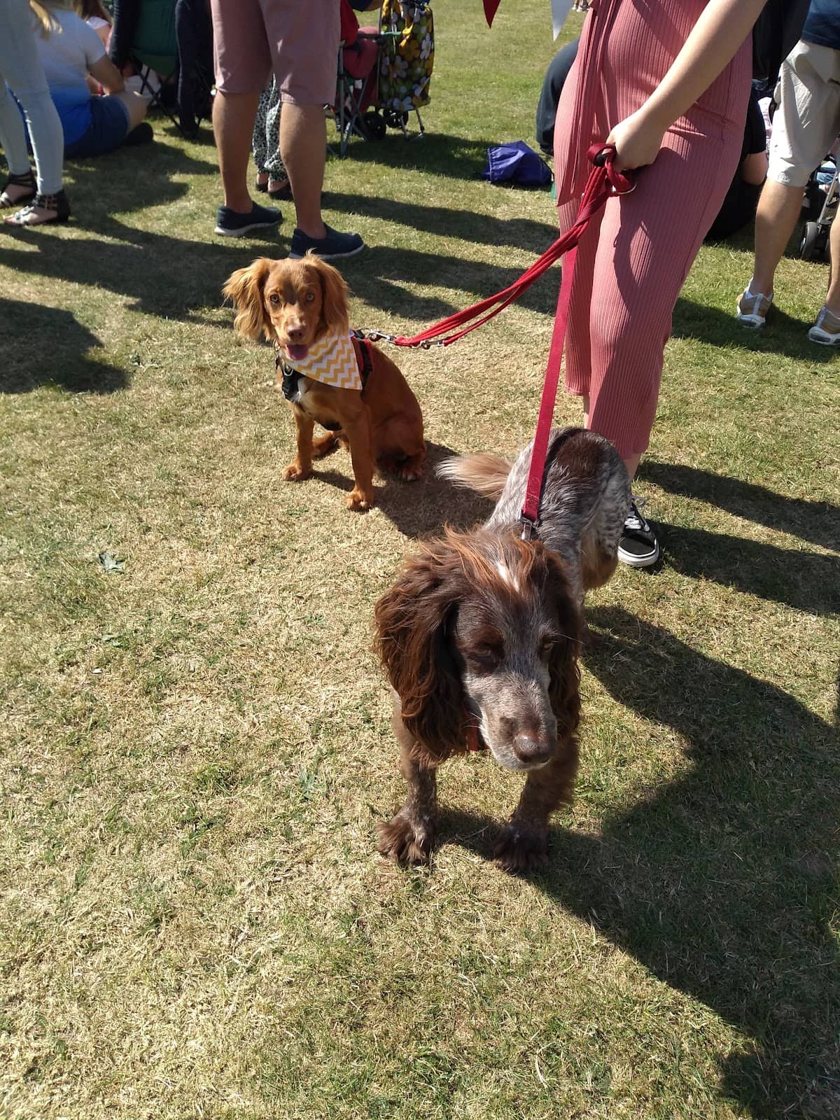 Community Event Space